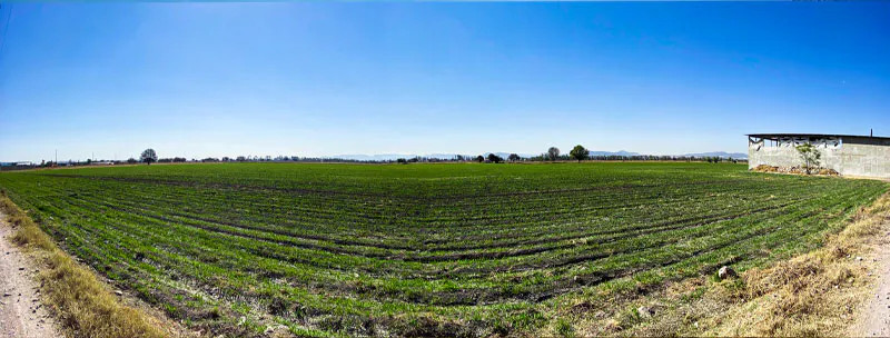 Terreno Spot2