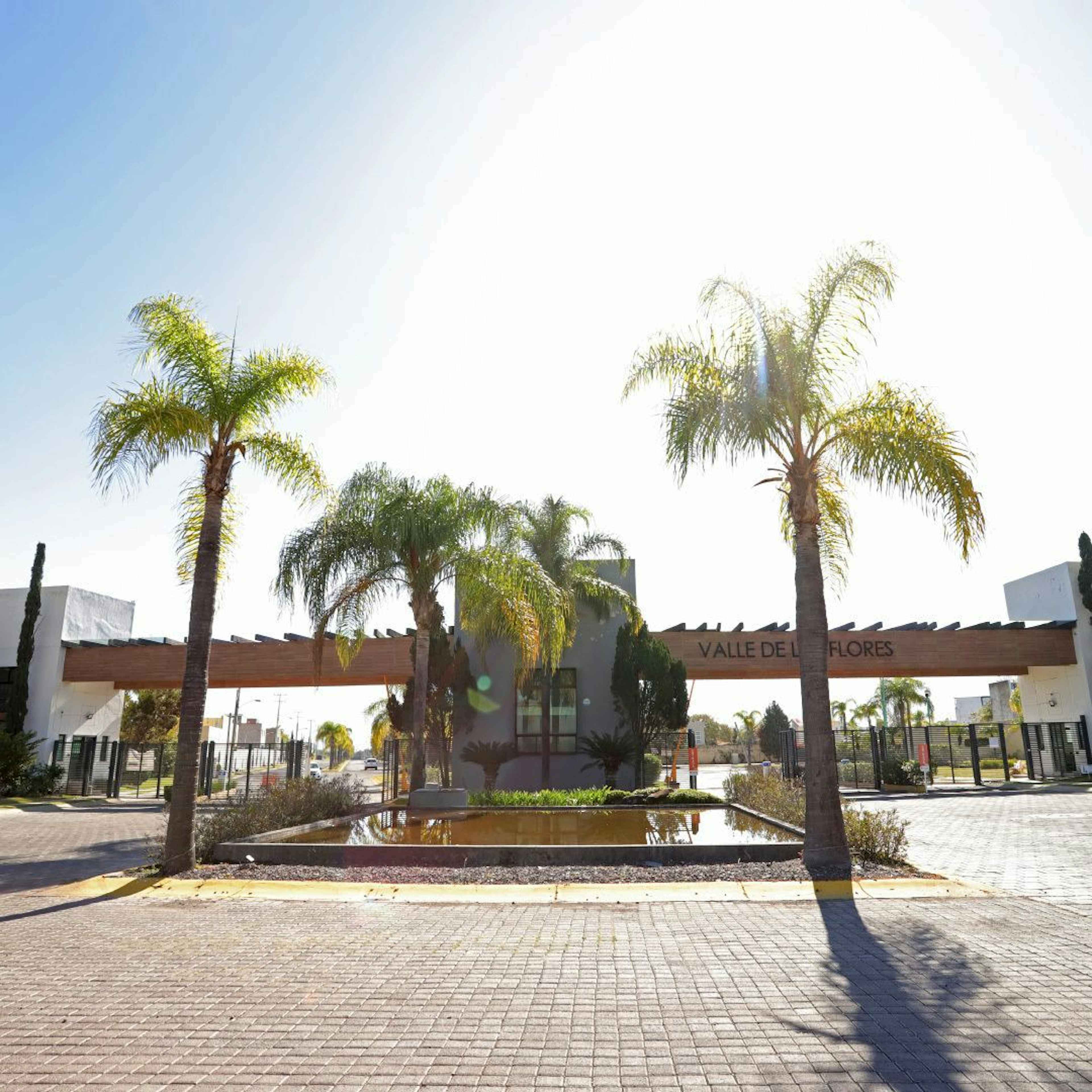 Morelia-guadalajara 11111