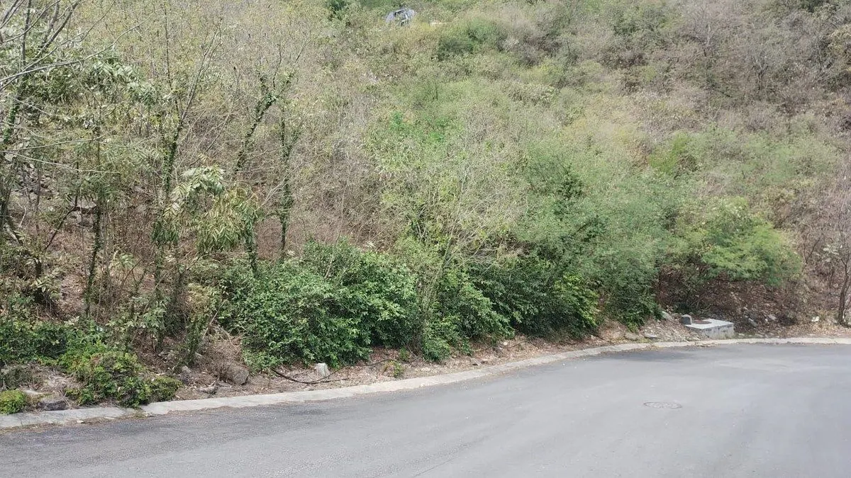 Terreno Spot2