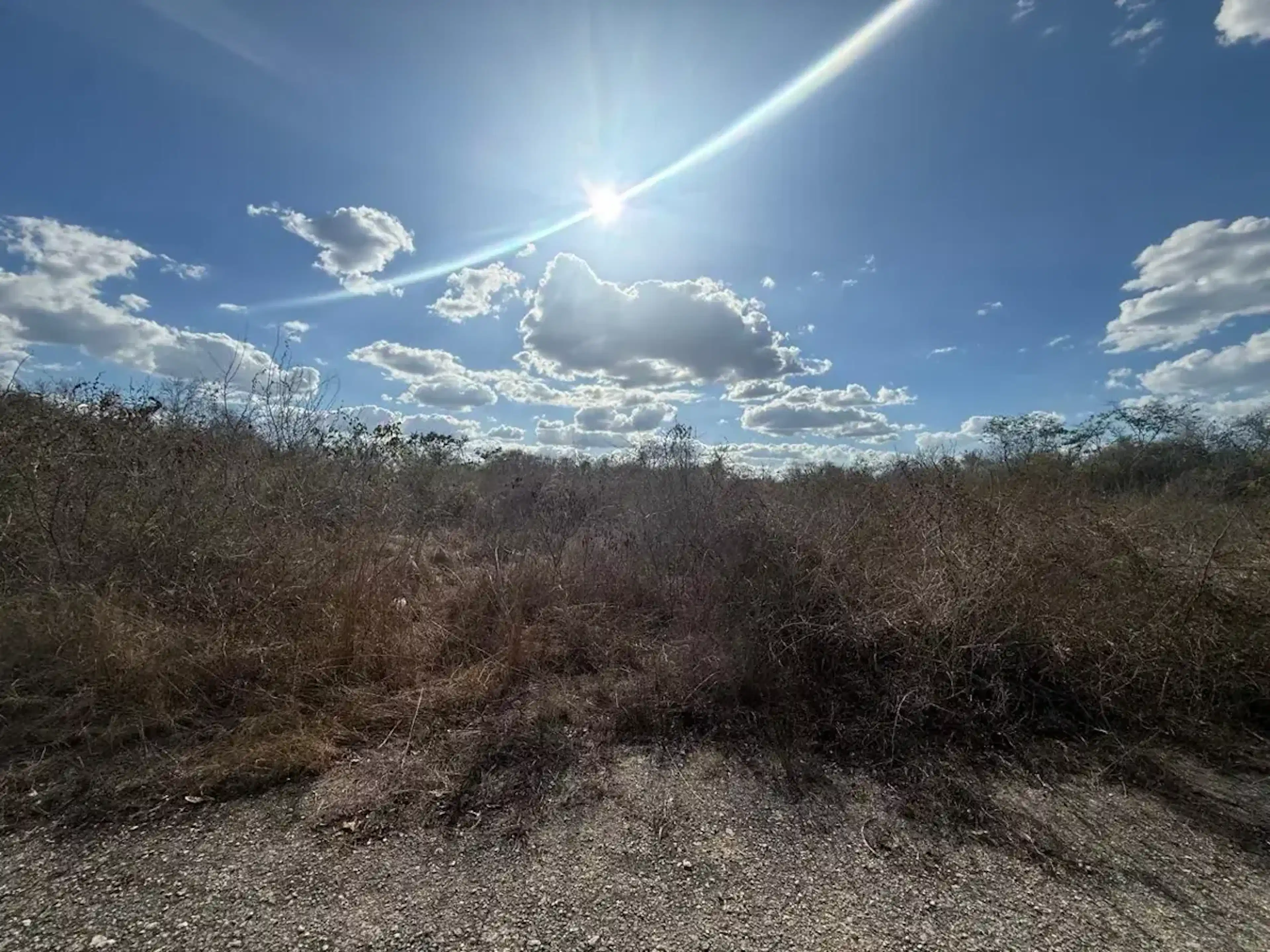 Terreno En Venta En Dzibilchaltún, Mérida, Yucatán