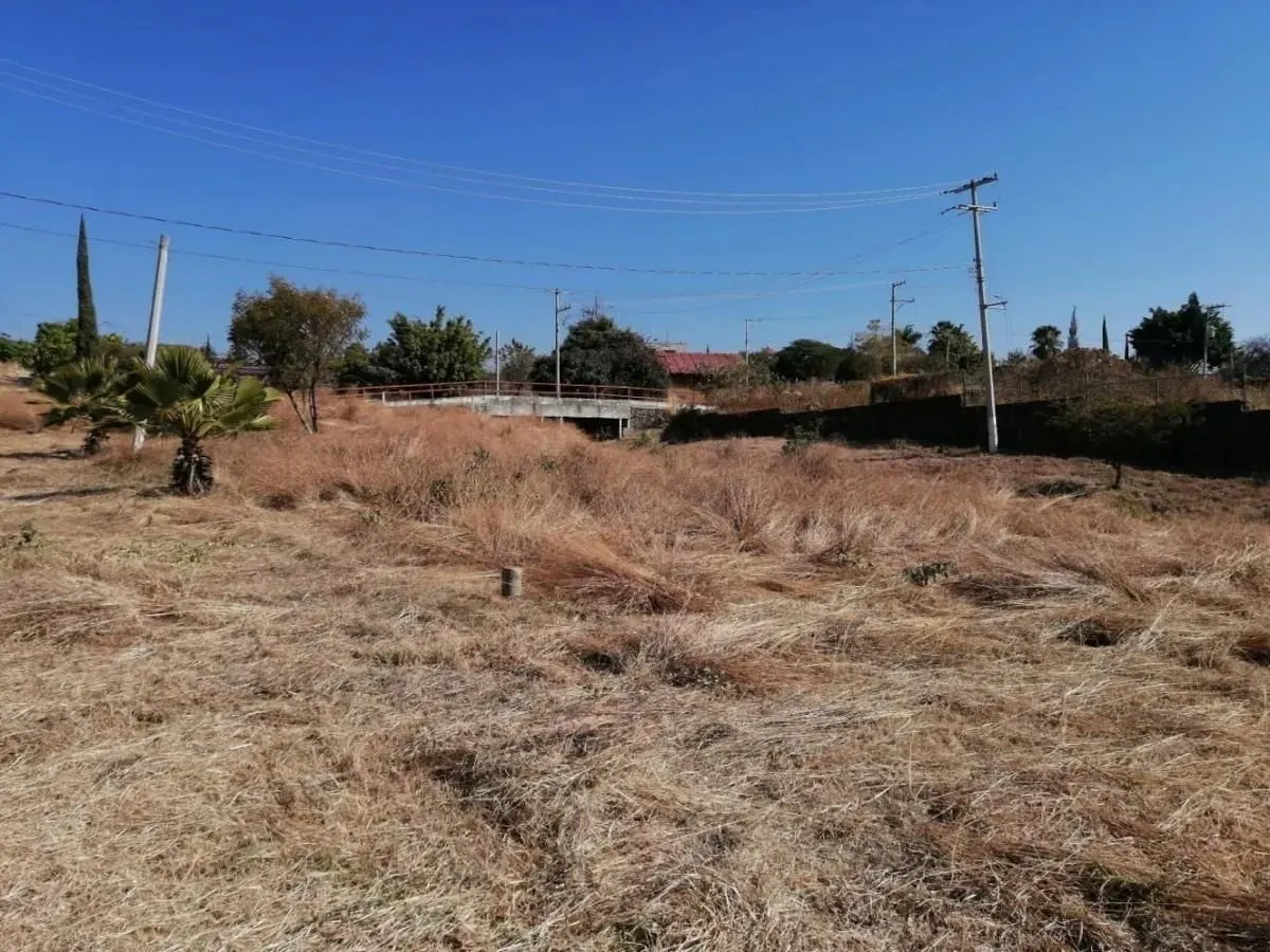 Terreno Spot2