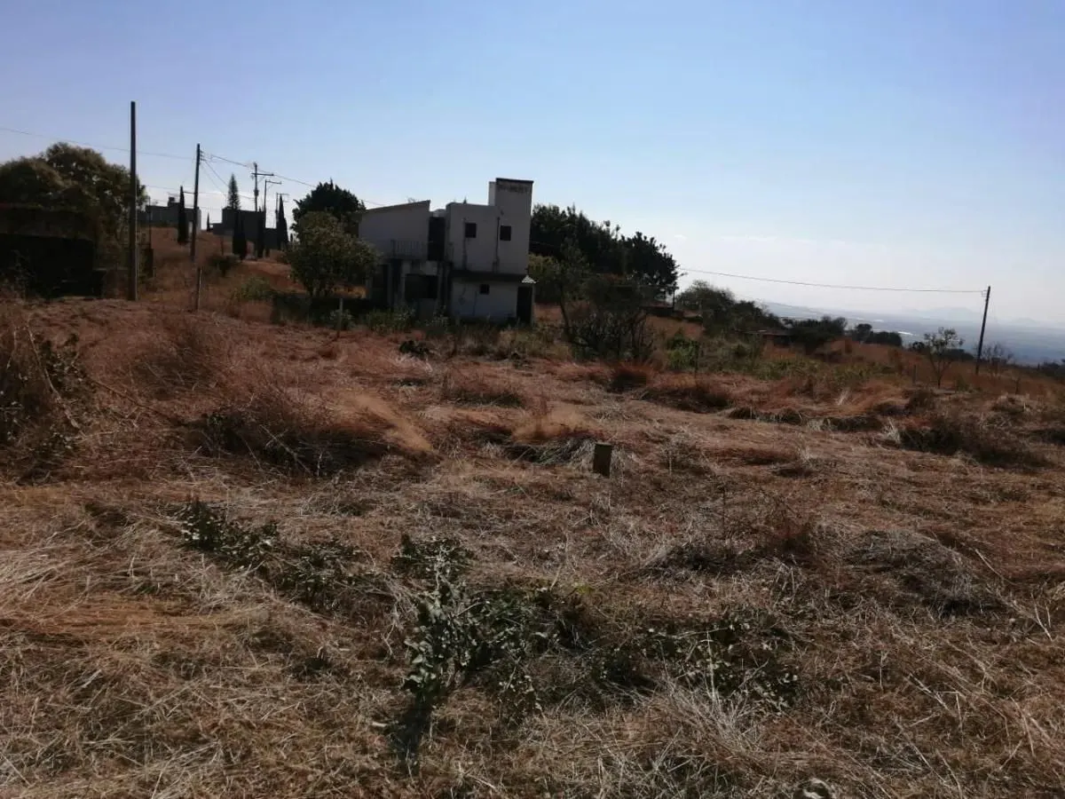 Terreno Spot2