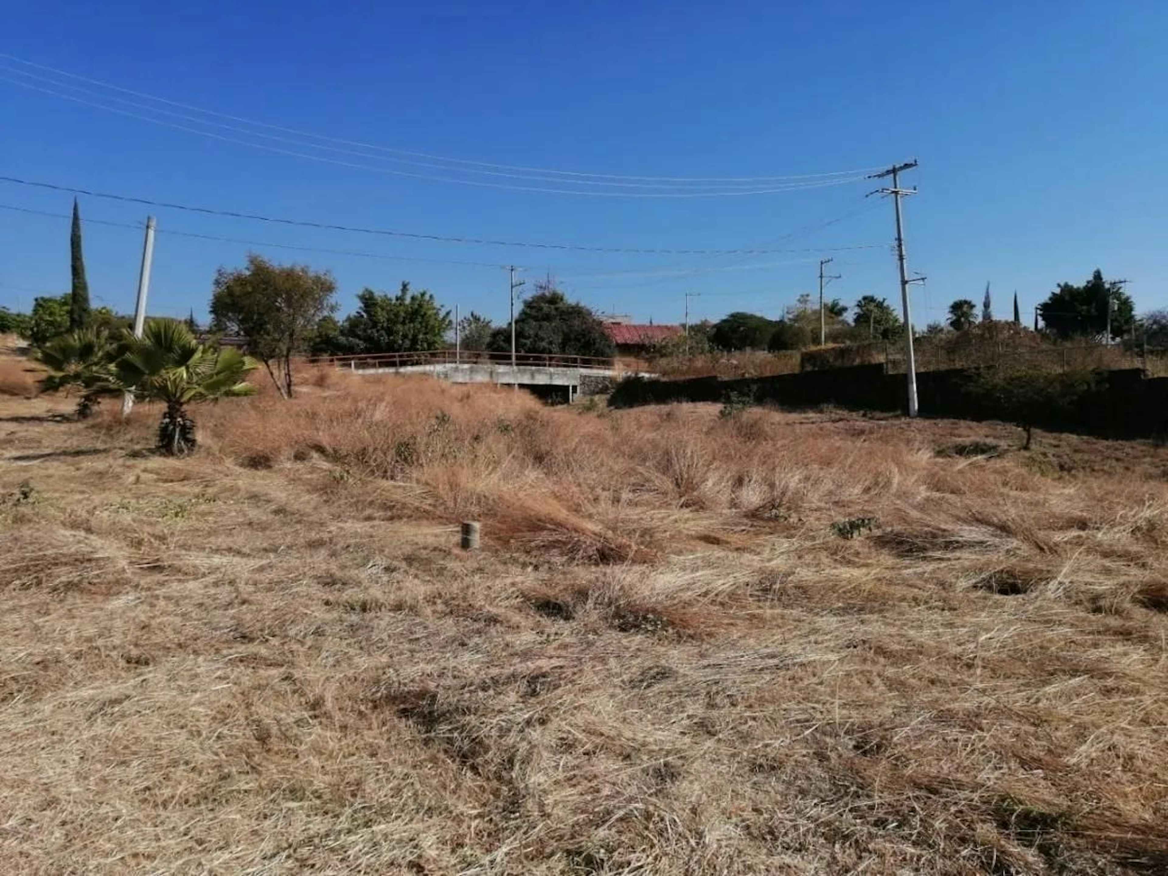 Calle No Reelección