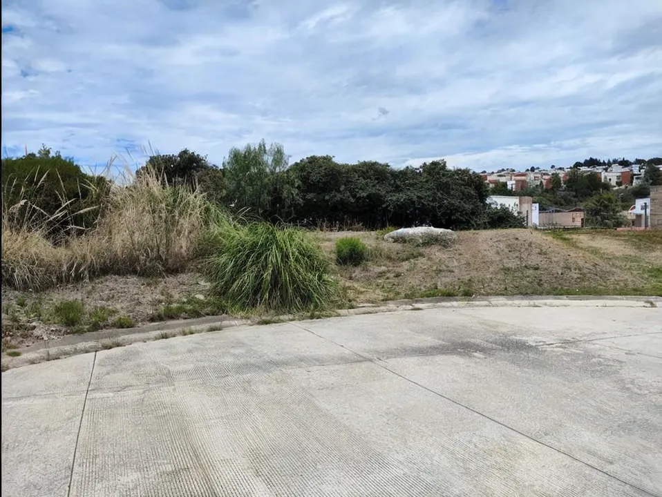 Terreno Spot2