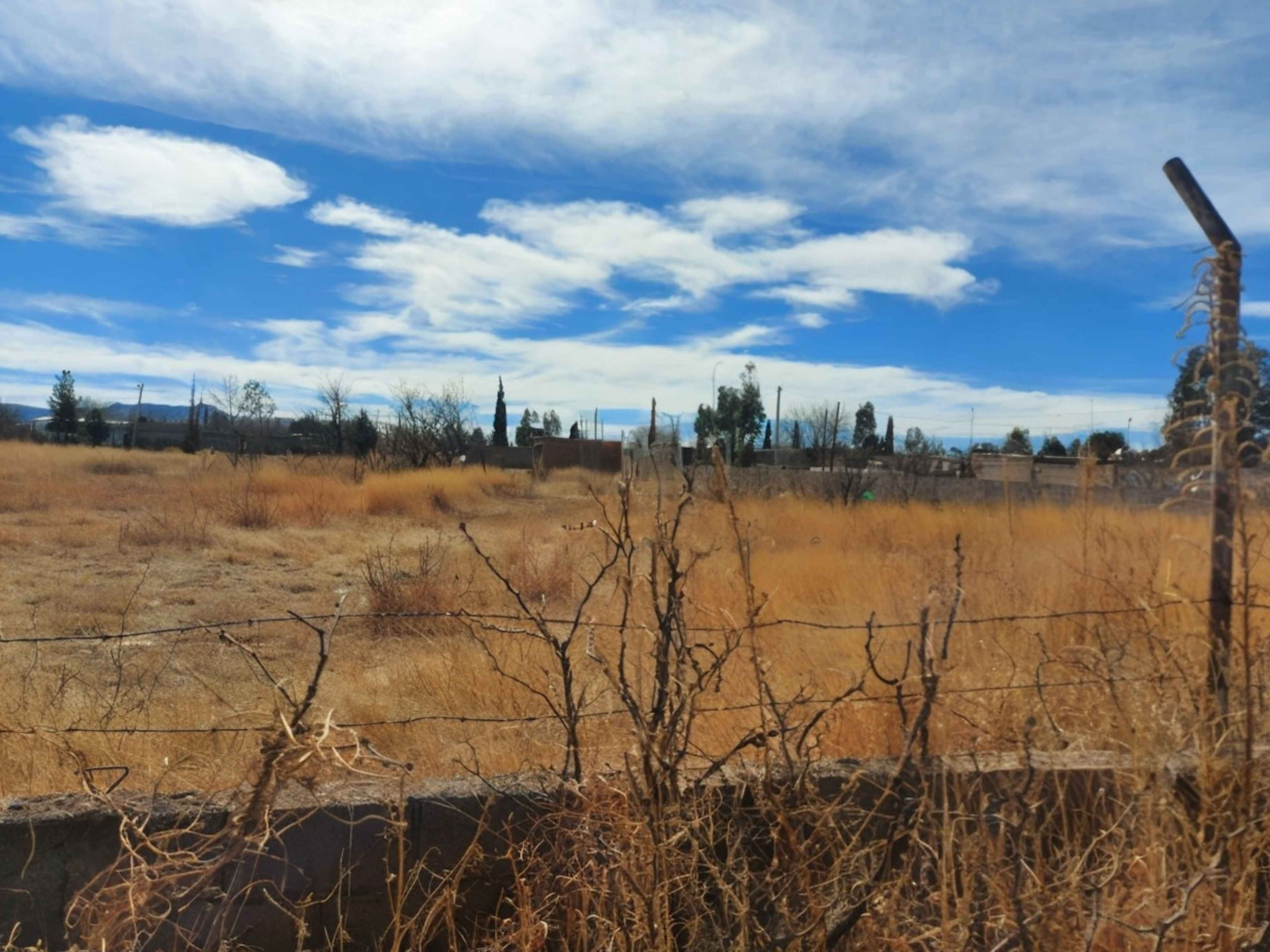 Calle Sierra De Majalca 11808