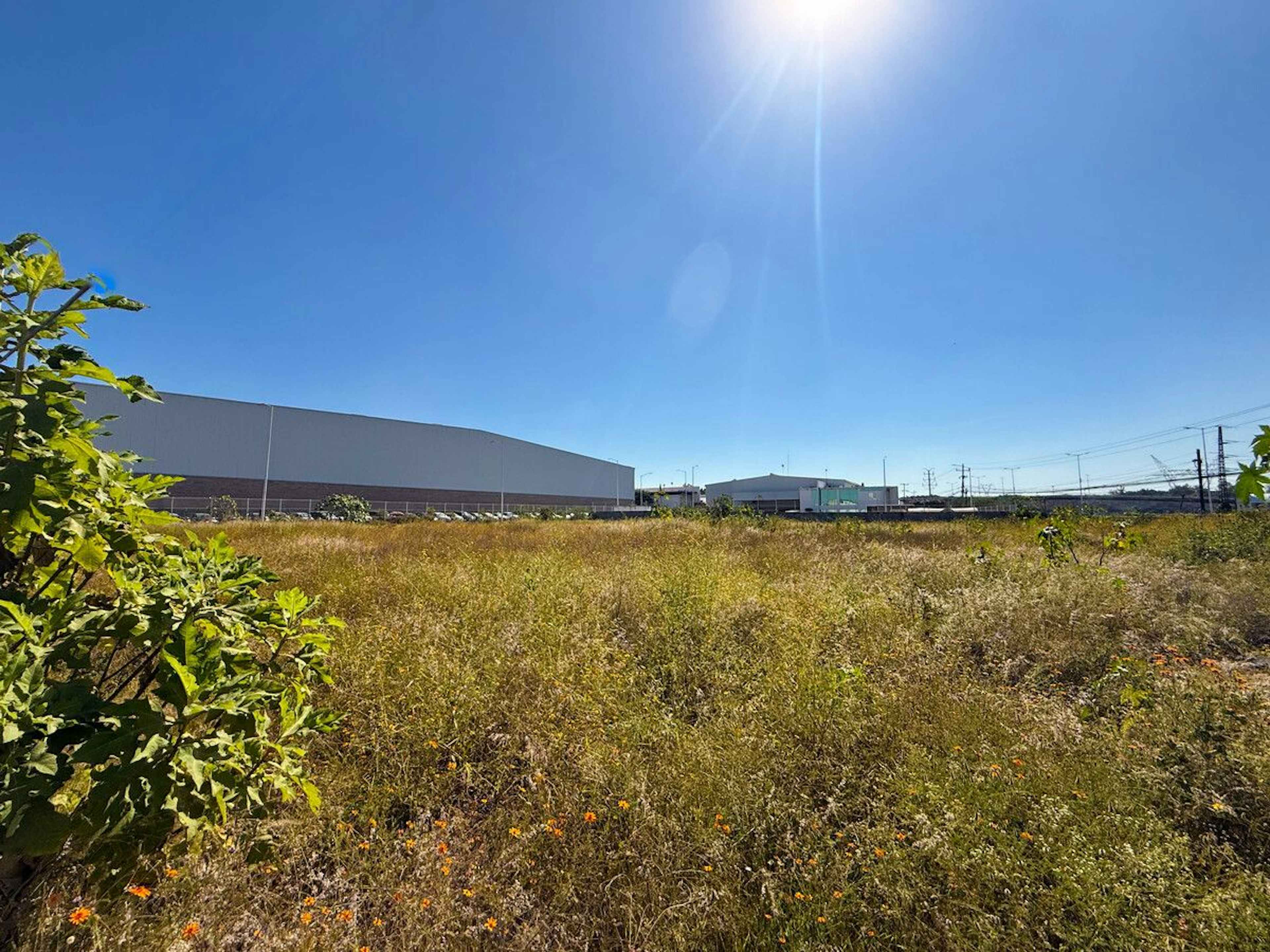 Terreno Industrial En Carretera El Salto