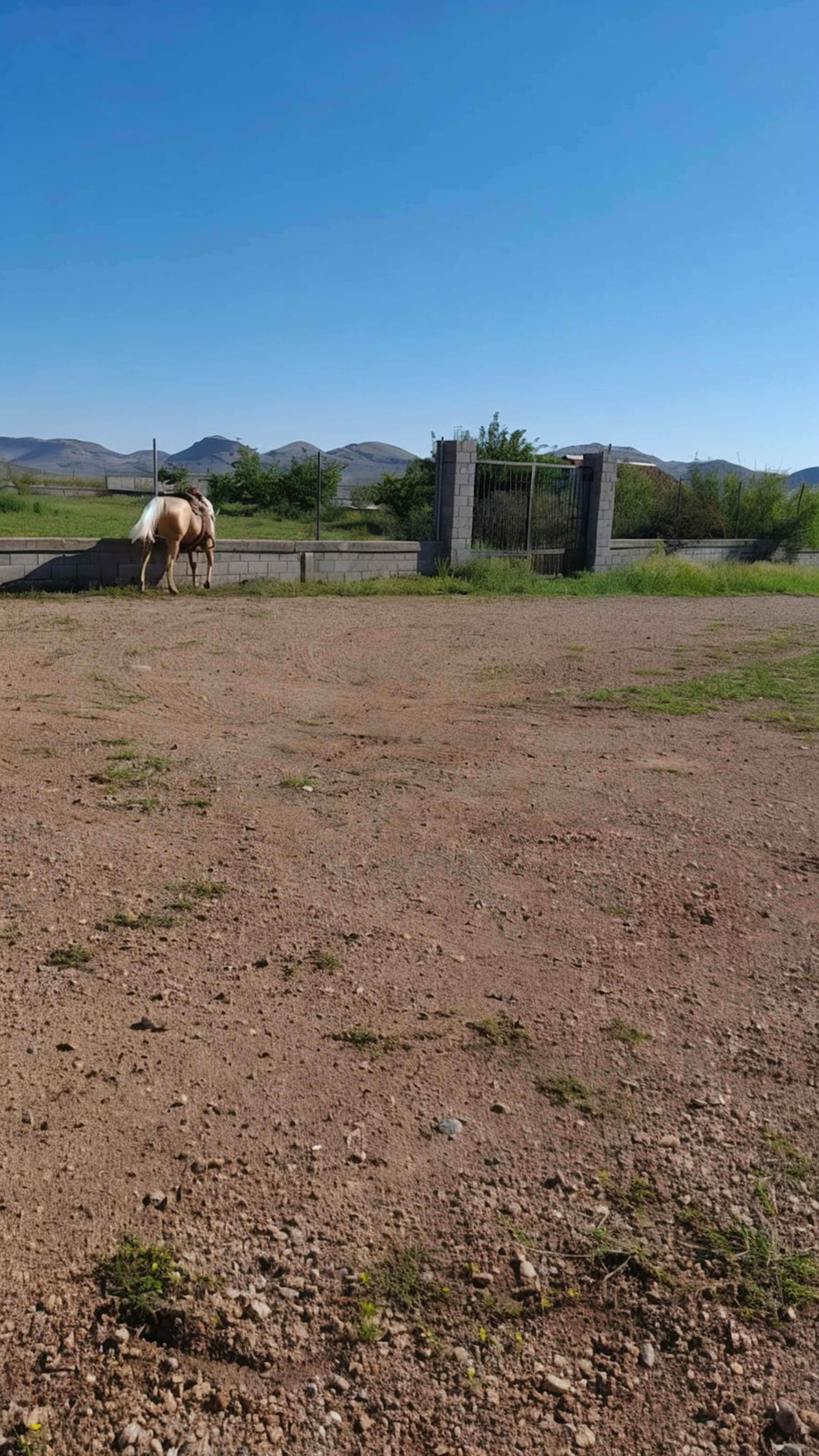 Jardín De Belvedere 4816