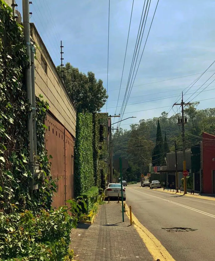 Terreno Spot2