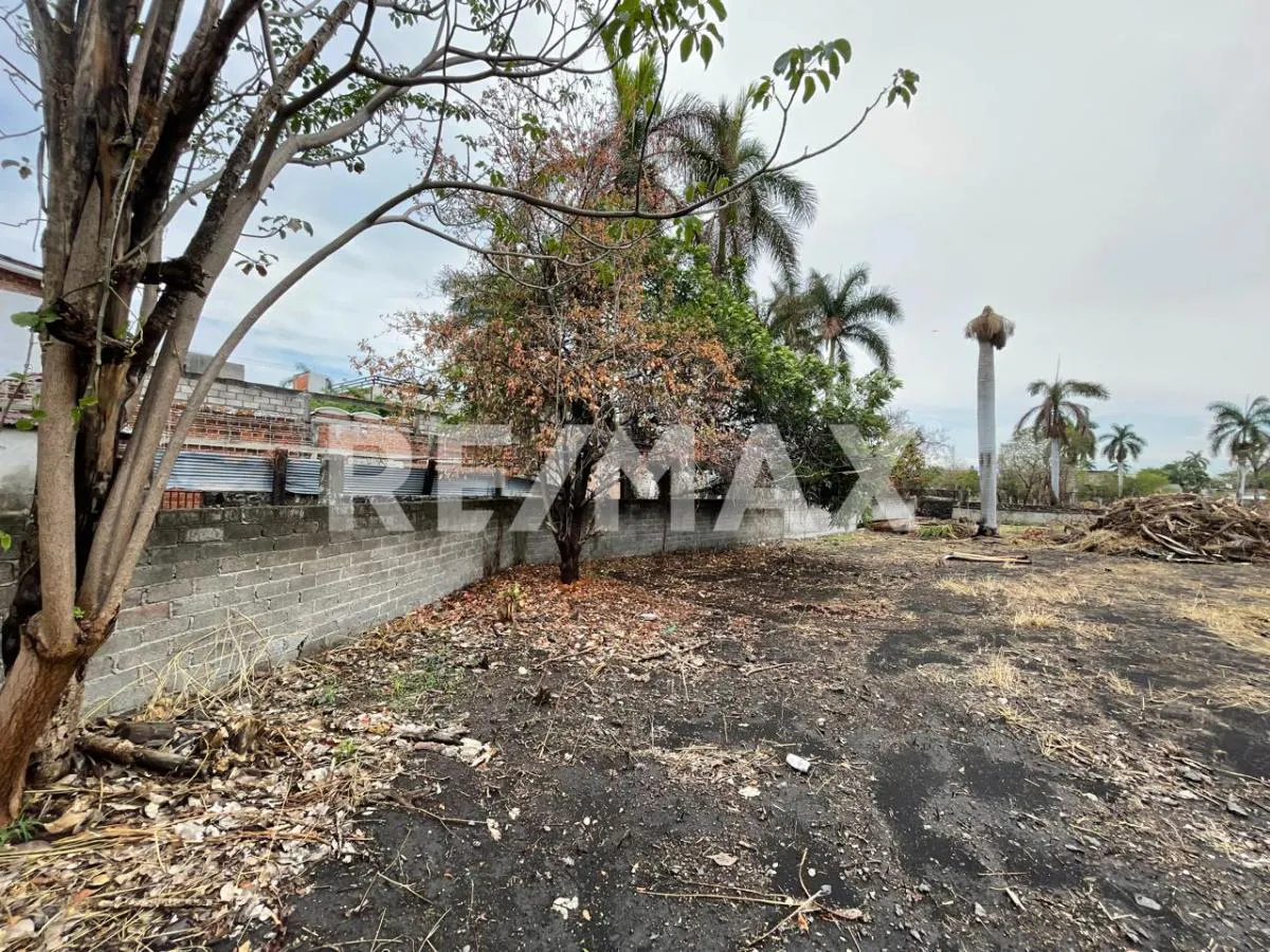 Terreno Spot2