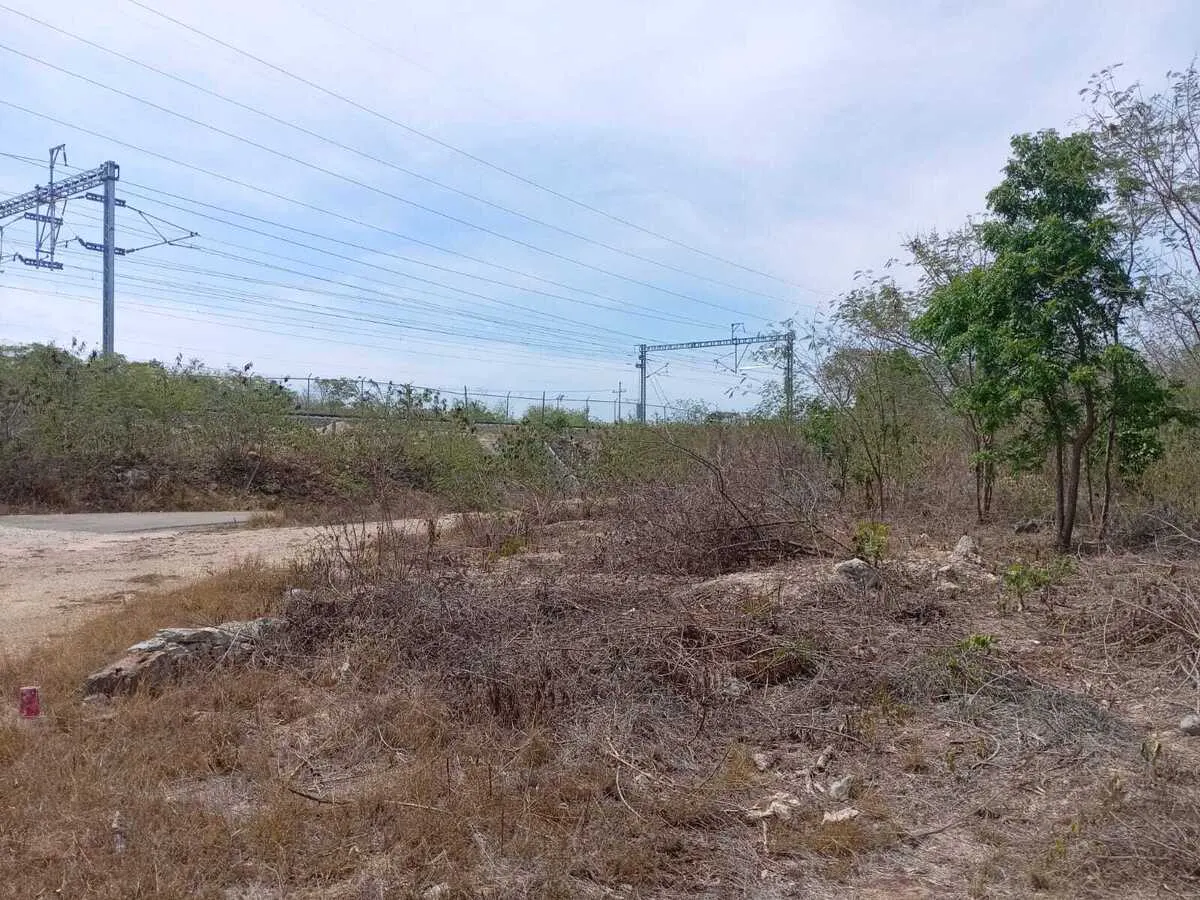 Terreno Spot2