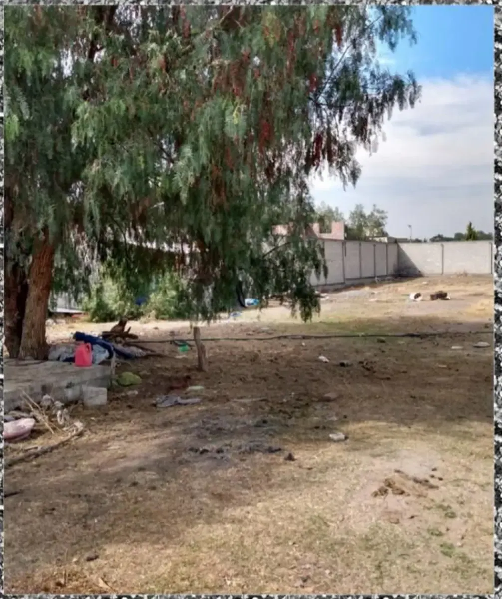 Terreno Spot2