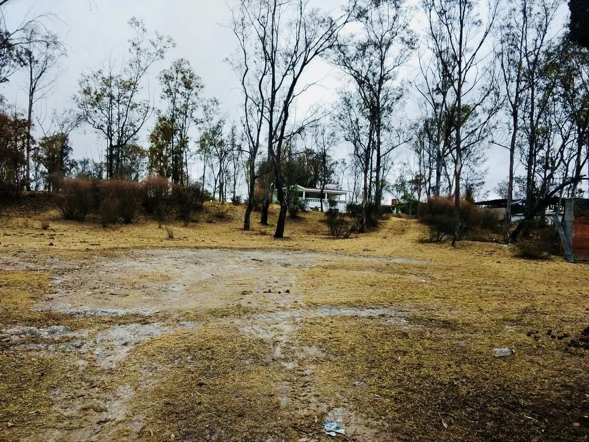 Terreno Spot2