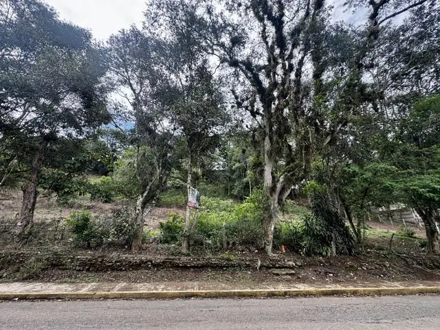 Terreno Spot2