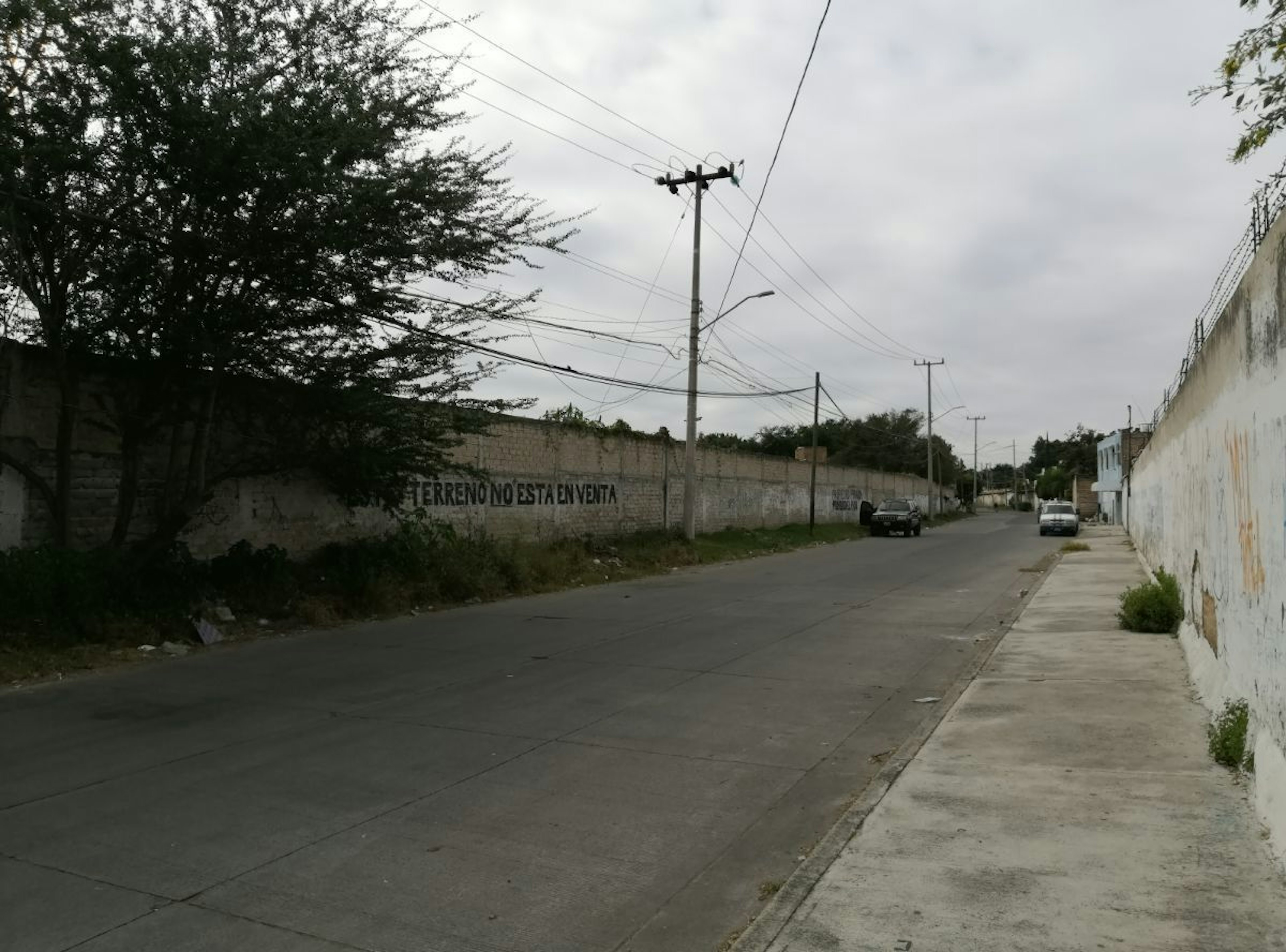 Spot image 0