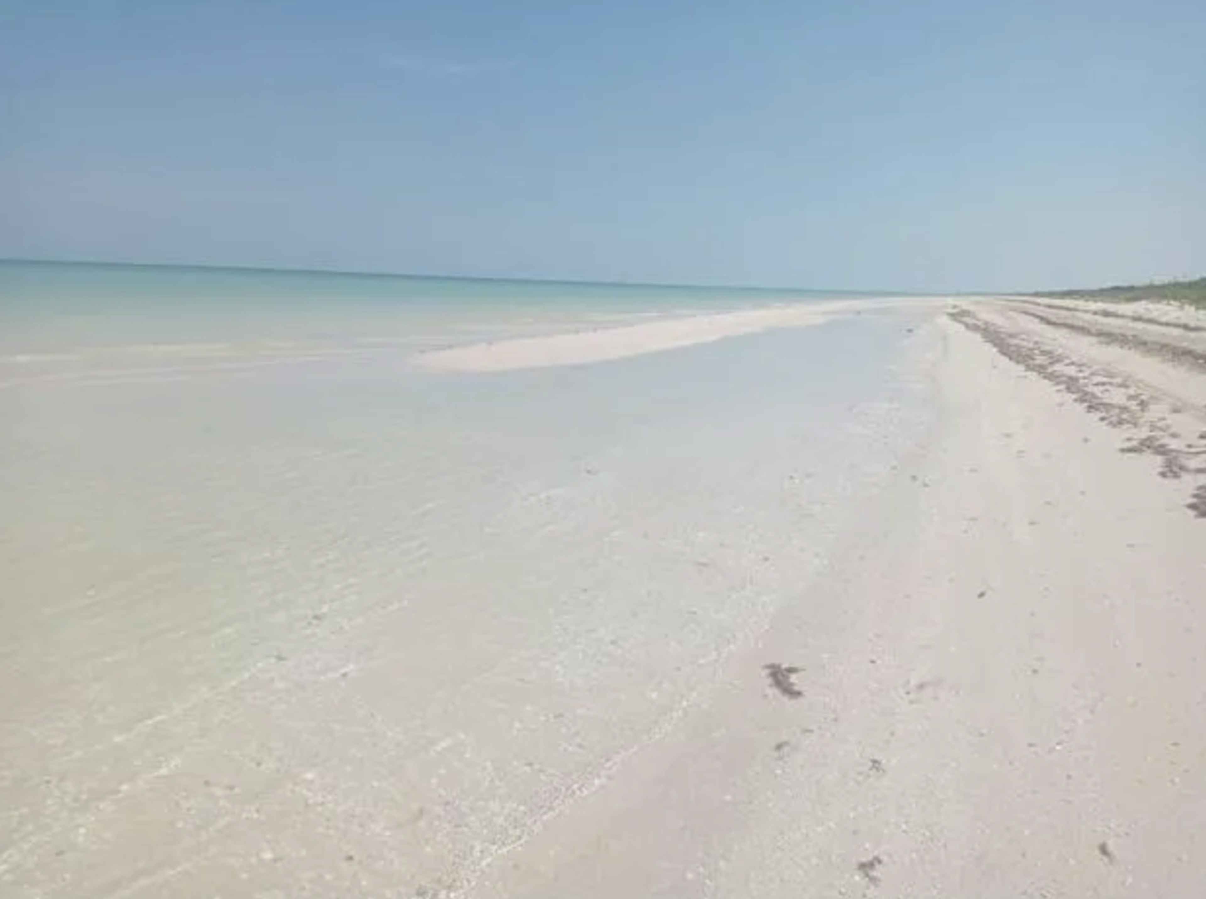 Terreno Frente Al Mar Sisal