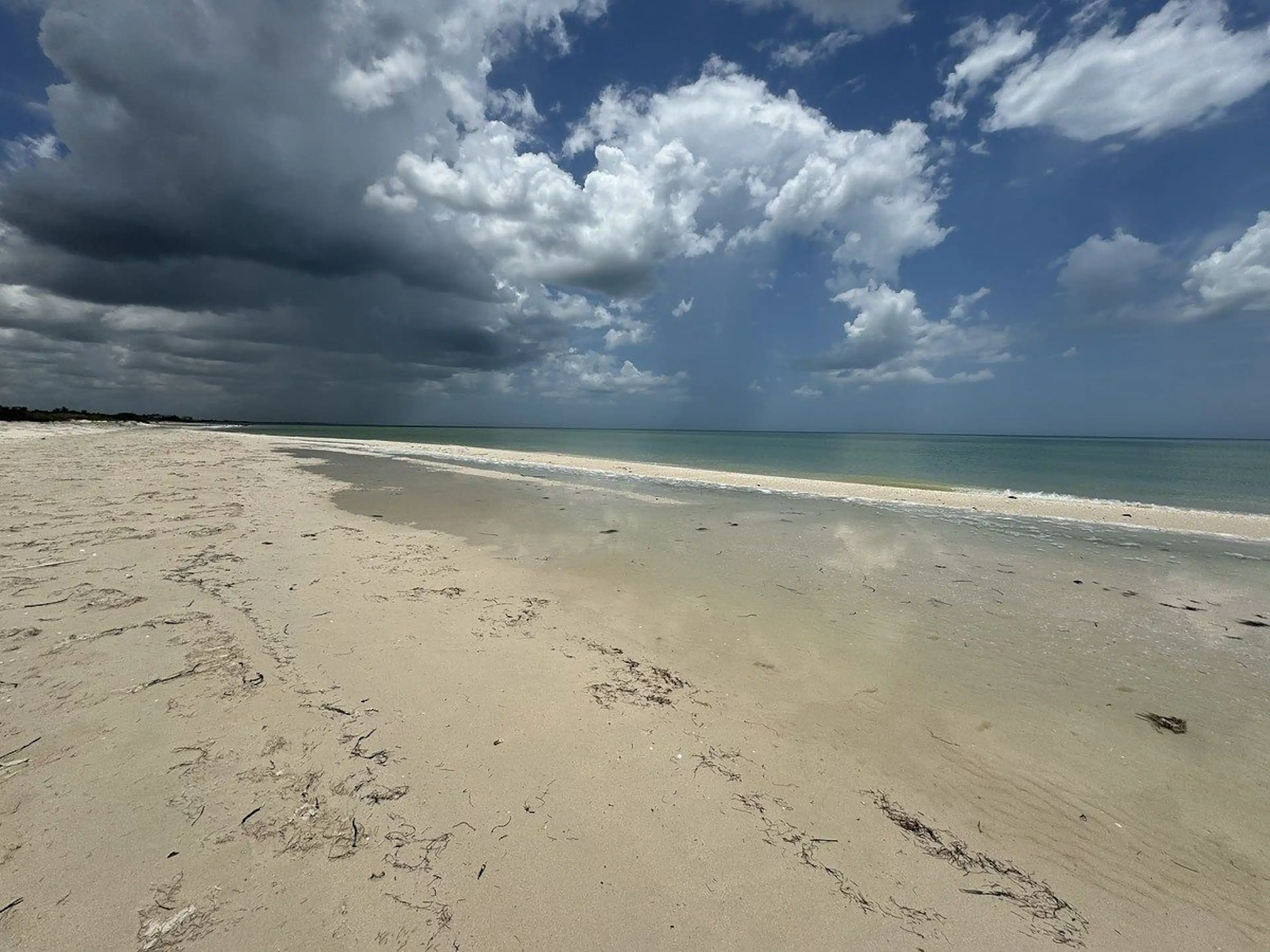 Venta De Terreno Frente Al Mar, Puerto Sisal
