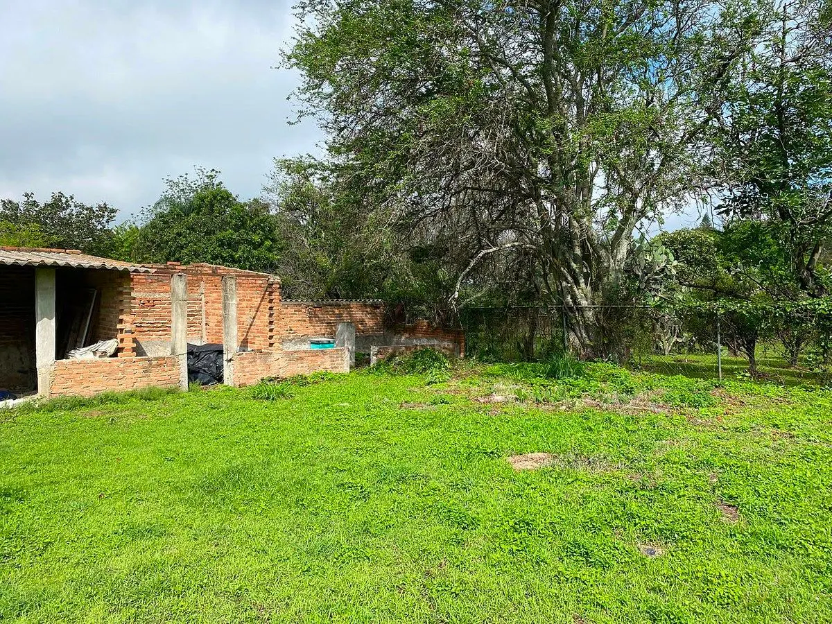 Terreno Spot2