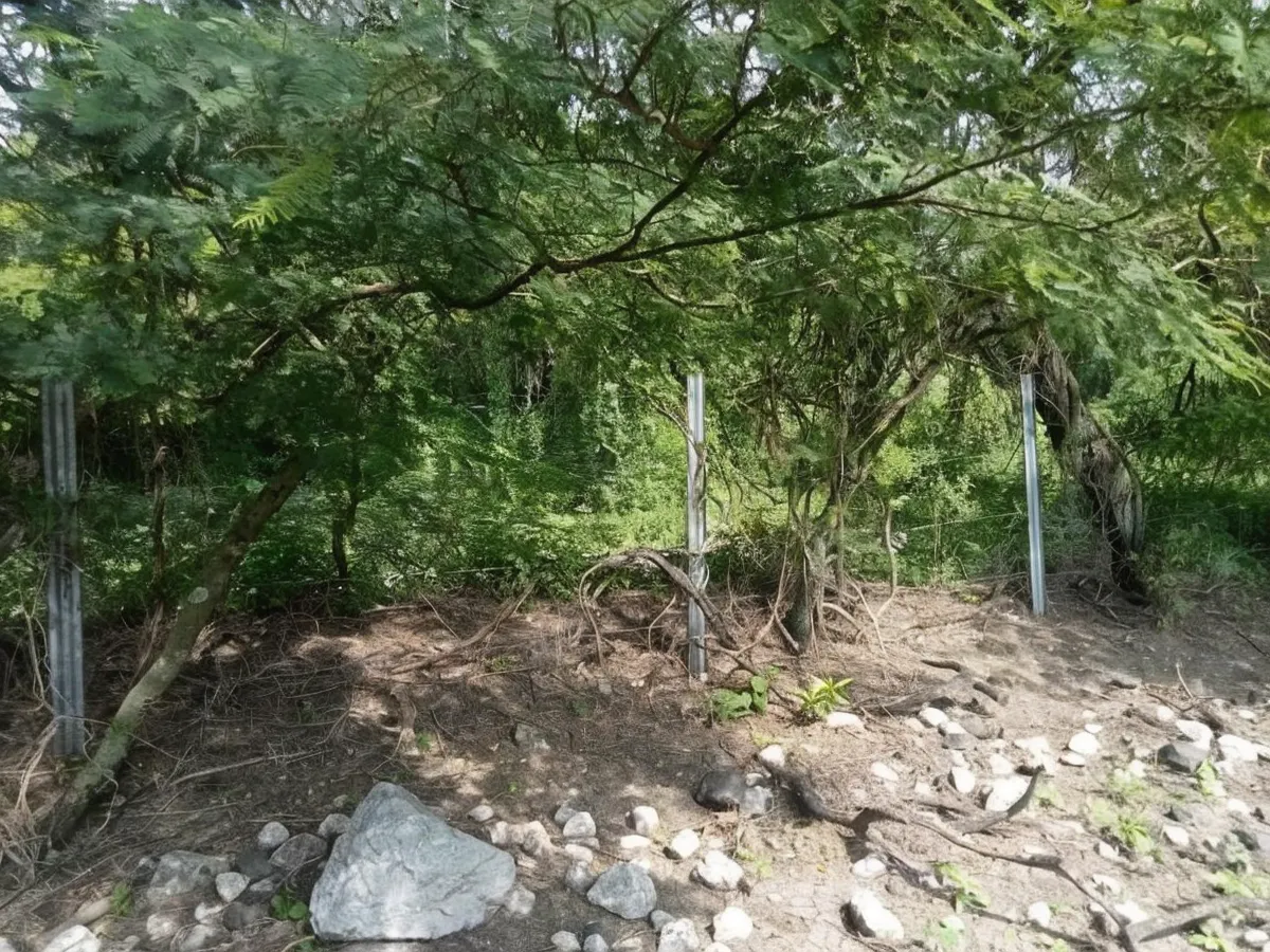 Terreno Spot2
