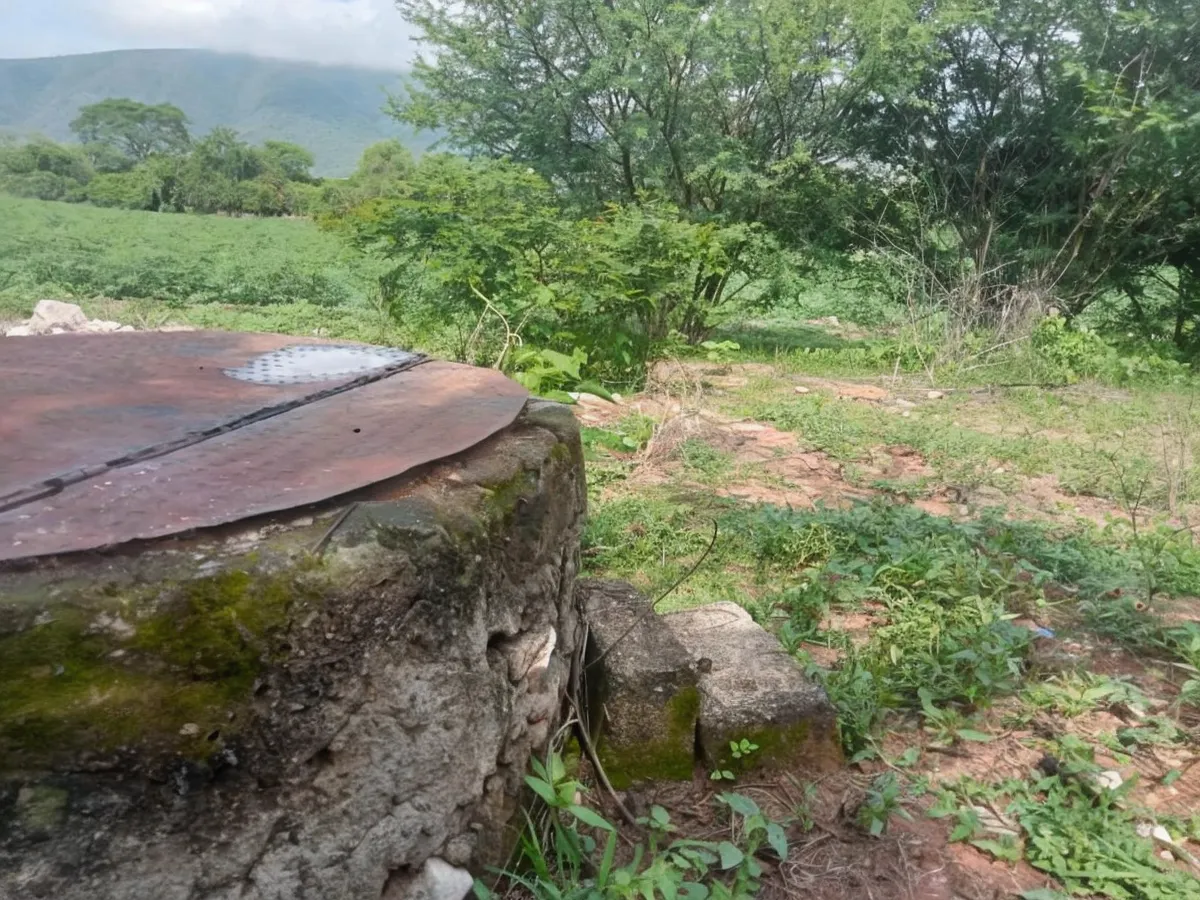 Terreno Spot2