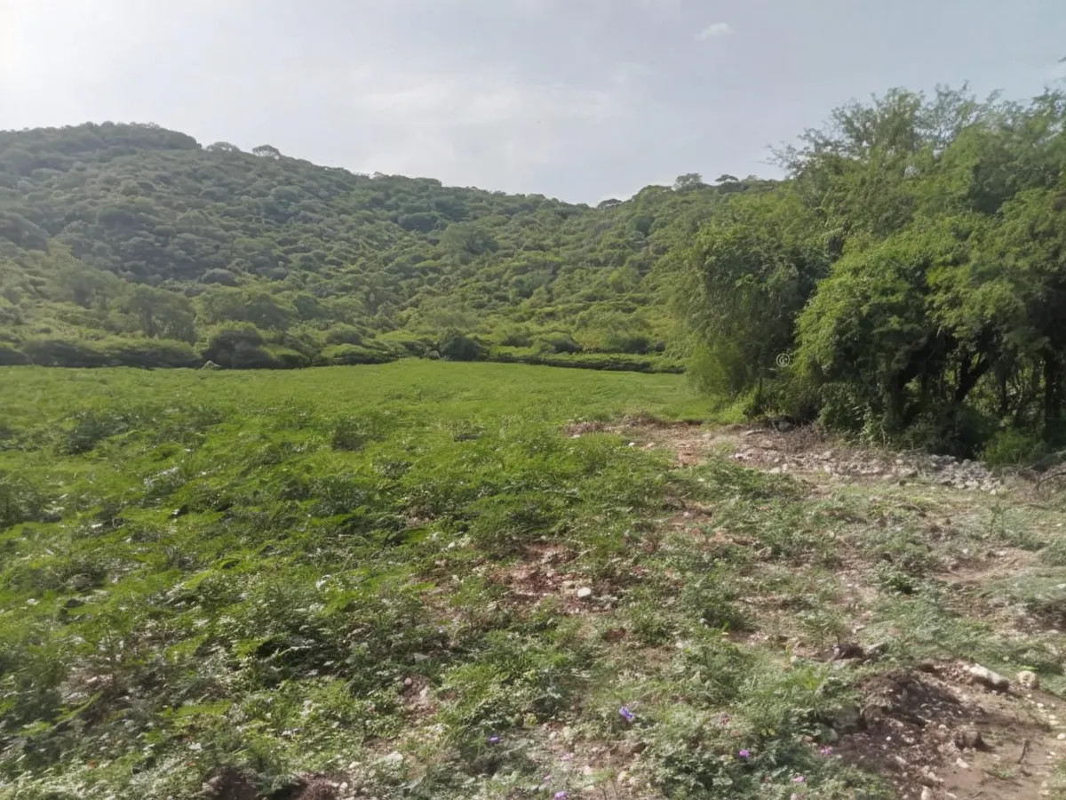 Terreno Spot2
