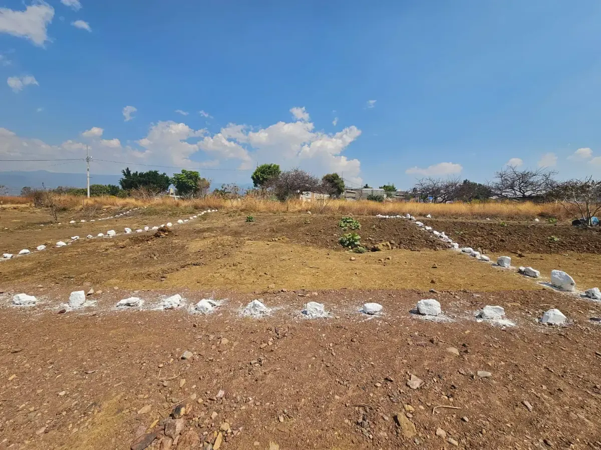Terreno Spot2
