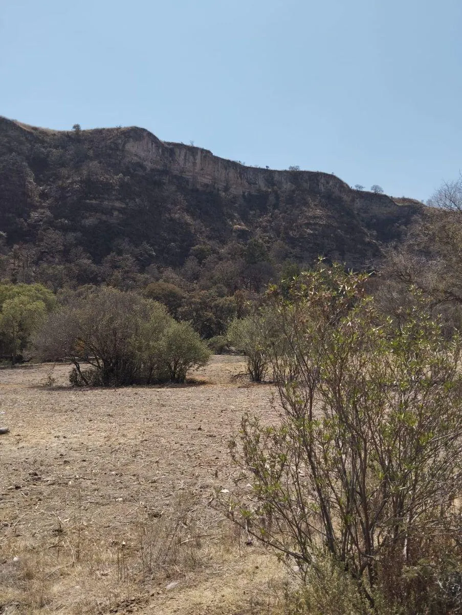 Terreno Spot2