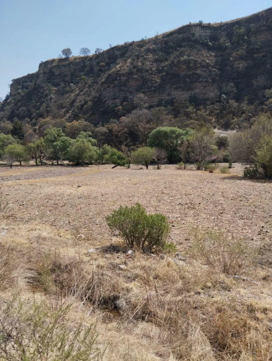 Terreno Spot2