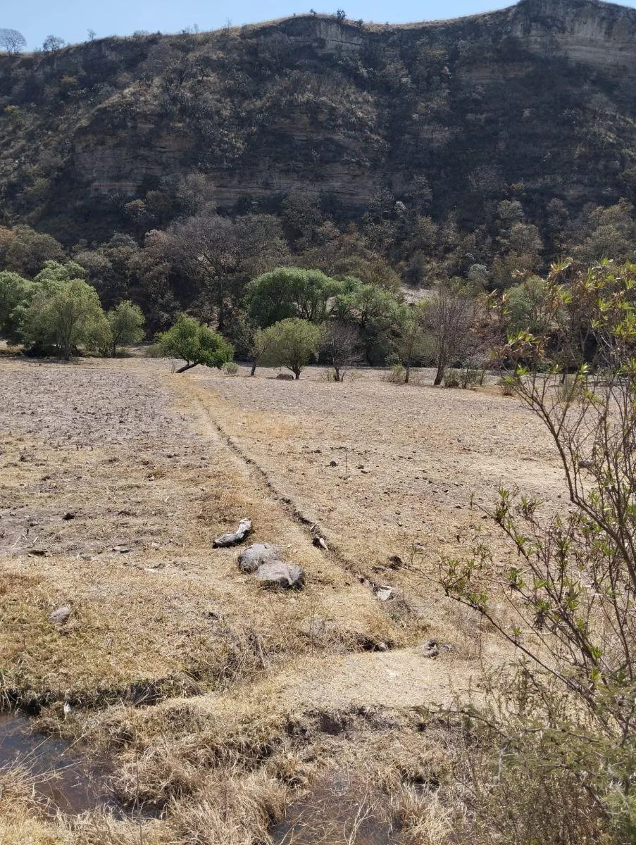 Terreno Spot2