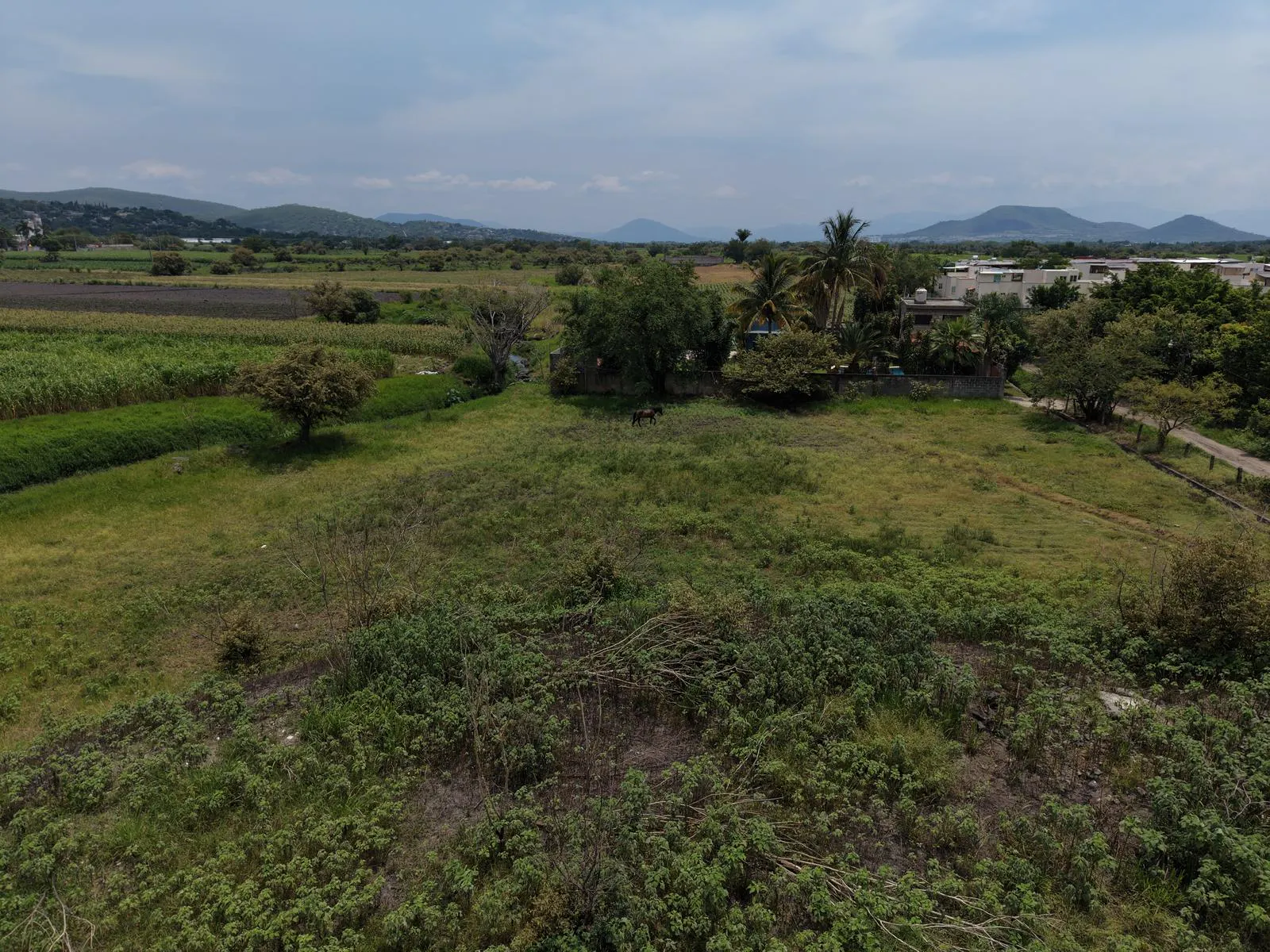 Terreno Spot2
