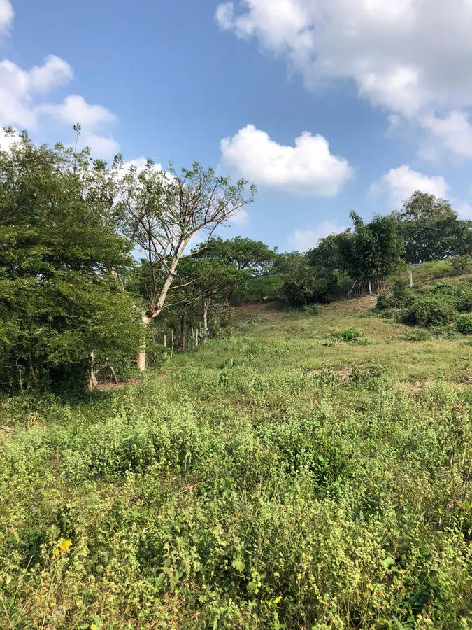 Terreno Spot2