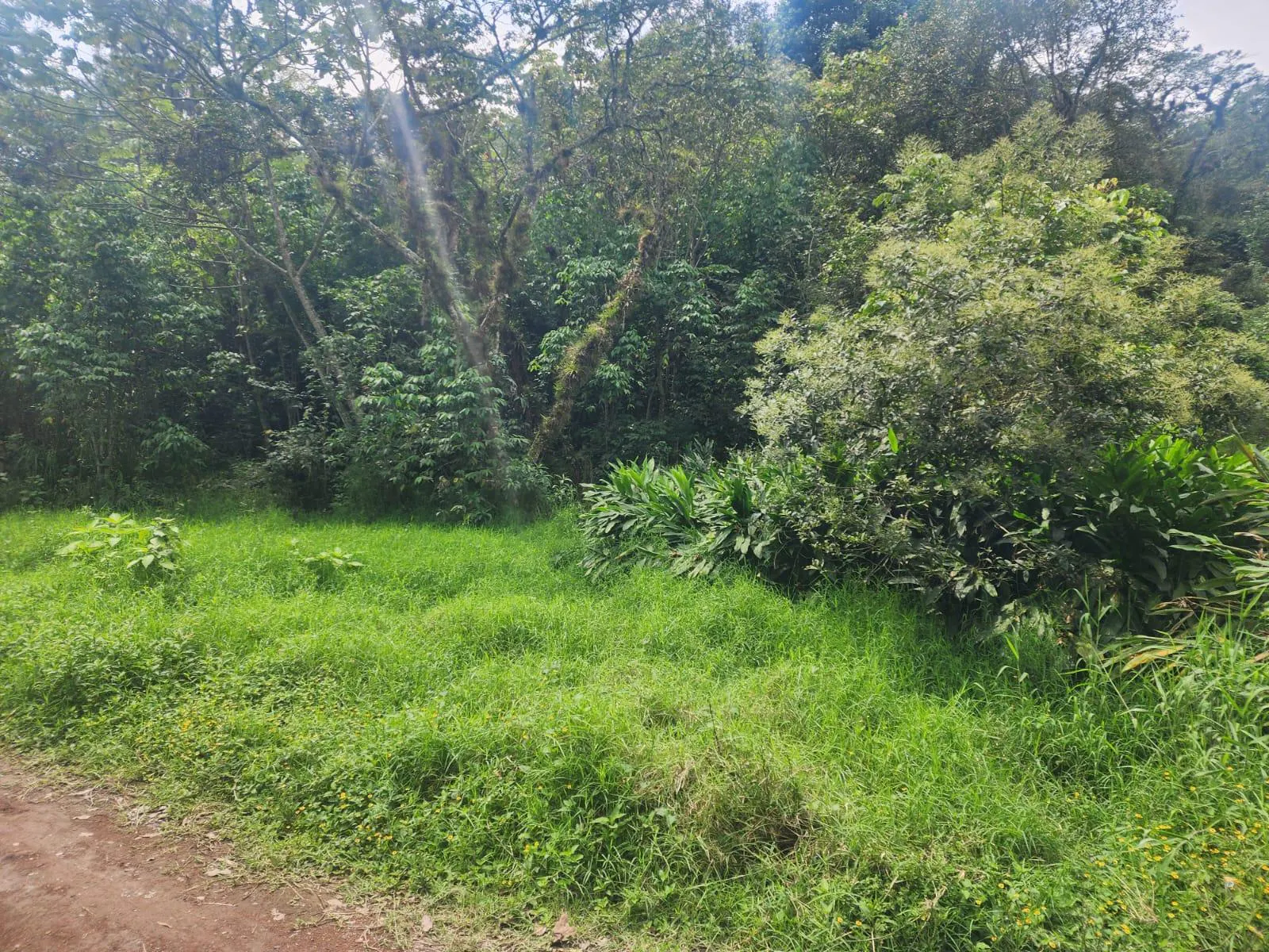 Terreno Spot2