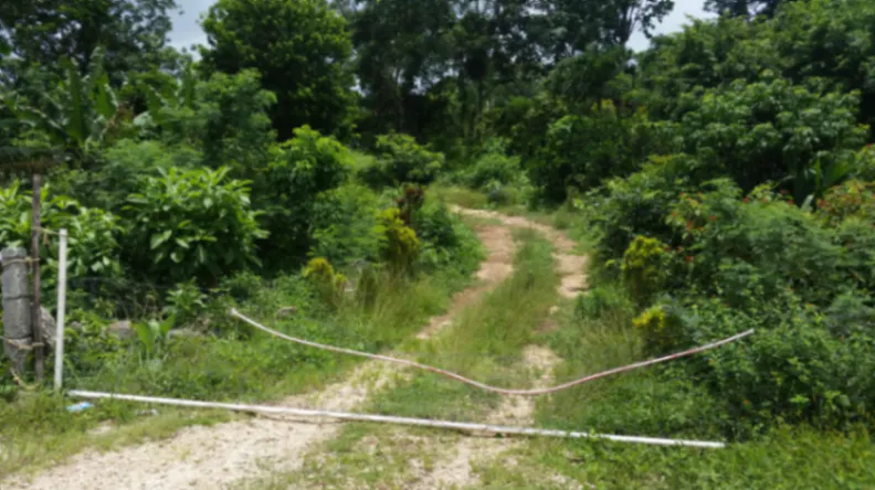 Terreno Spot2