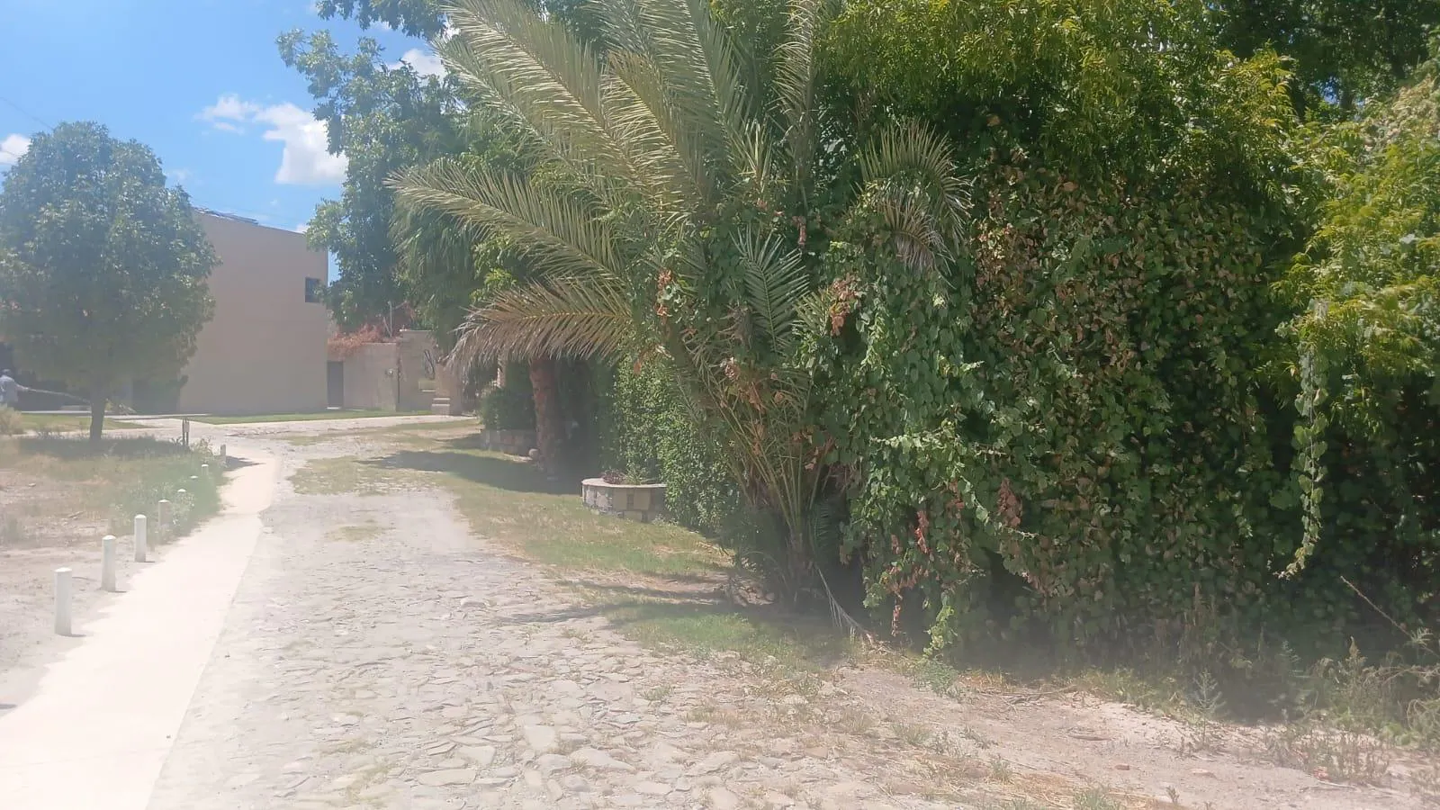 Terreno Spot2