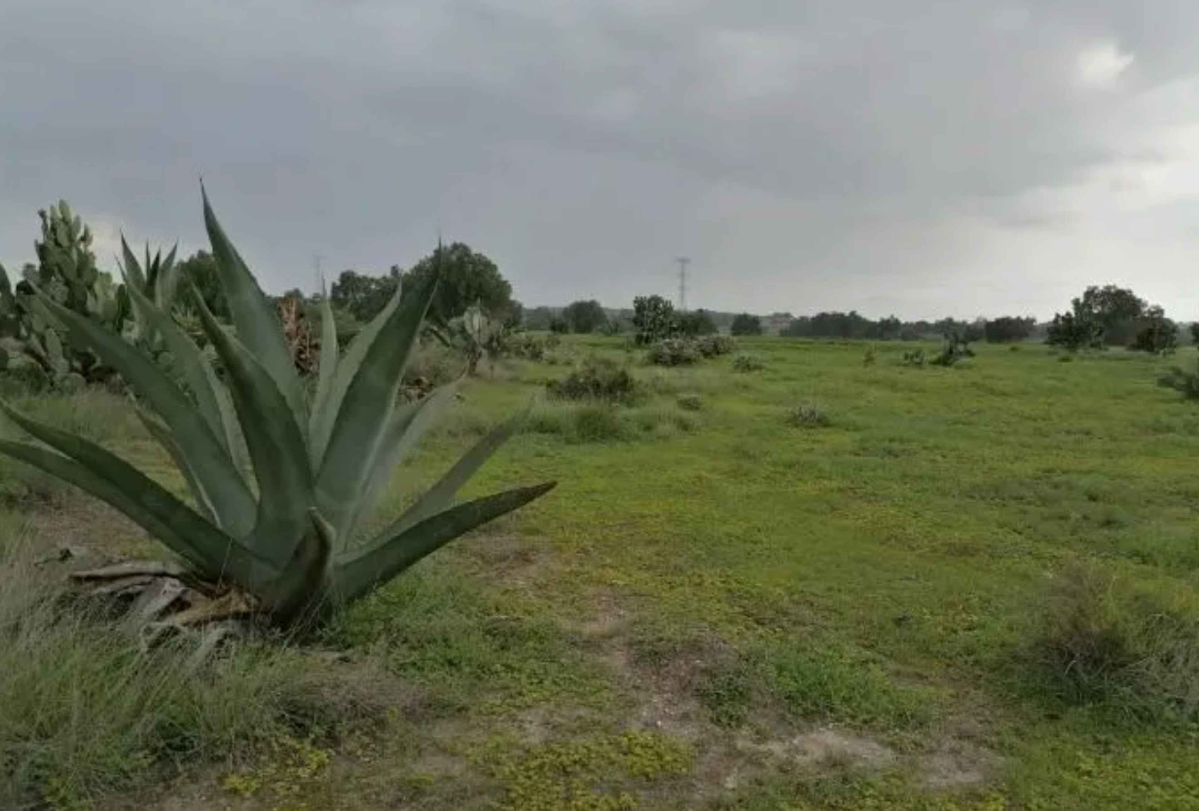 Boulevard La Cruz Oriente