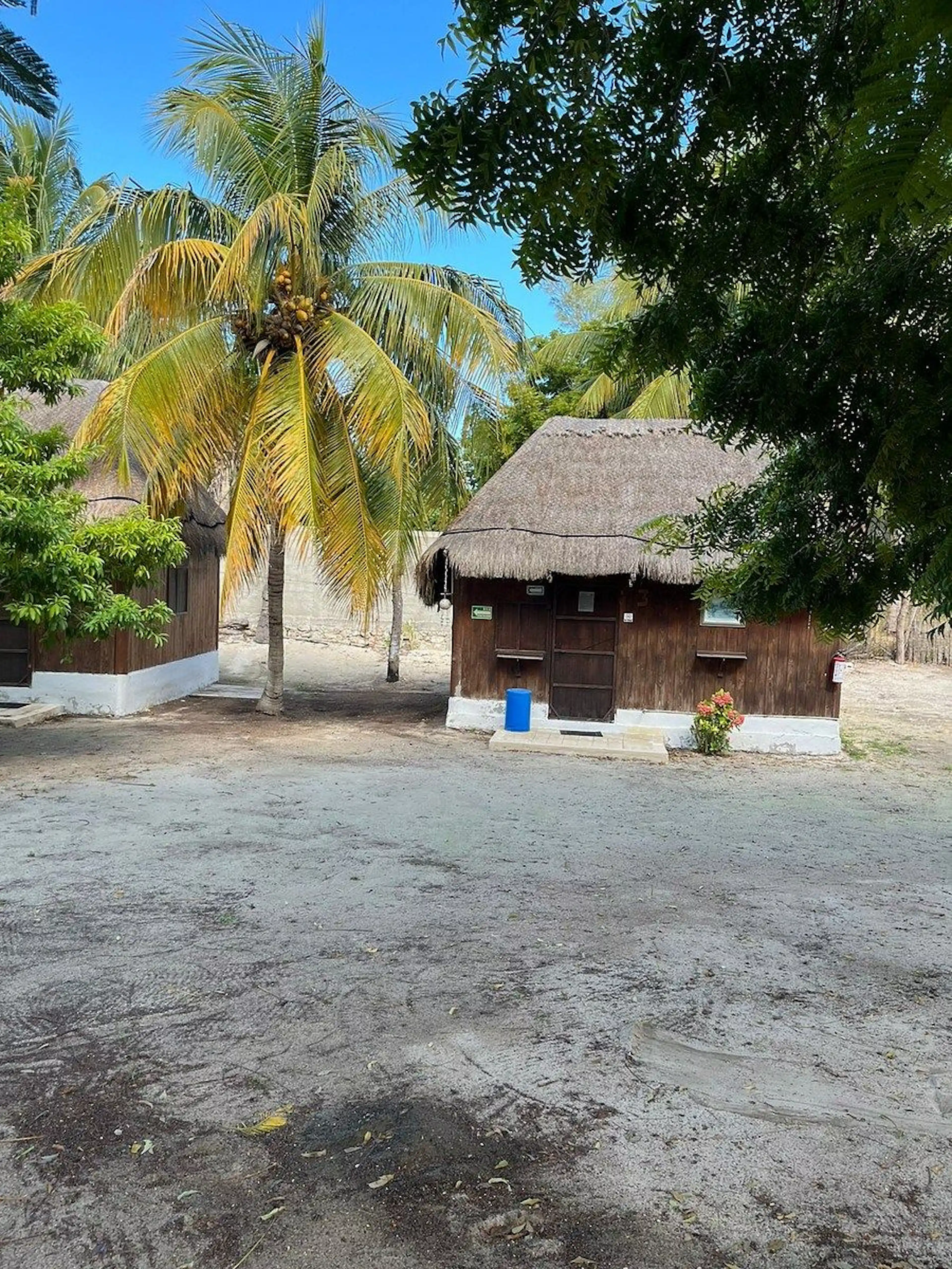 TERRENO EN CHELEM CON 5 CABAÑAS (RECAMARA + BAÑO)
