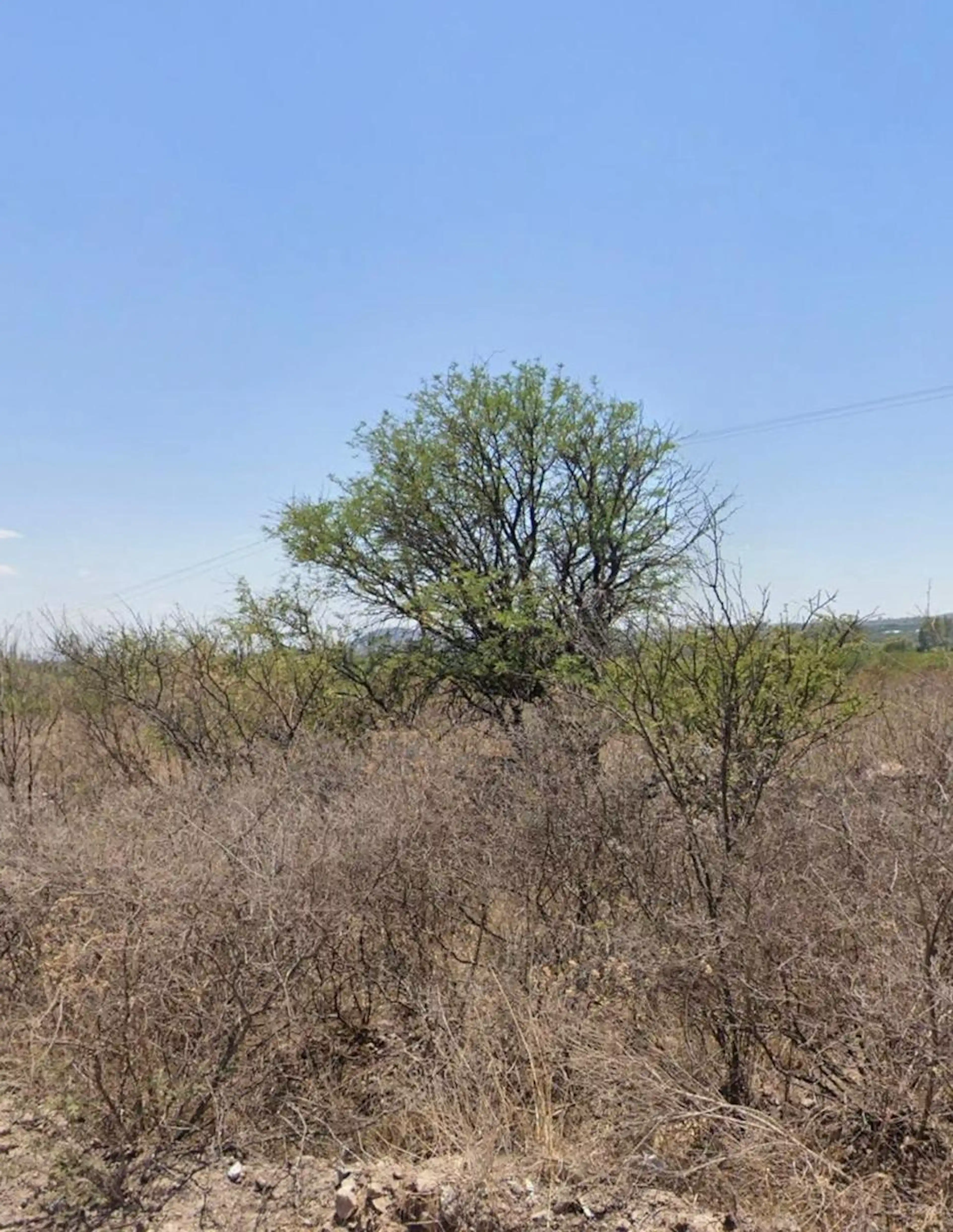 Terreno En Venta Cercano A La Presa De Santa Catarina