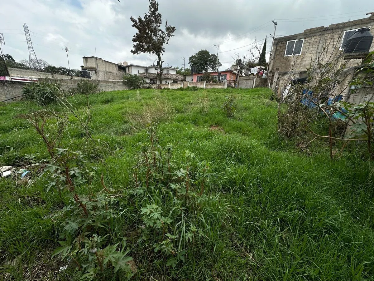 Terreno Spot2