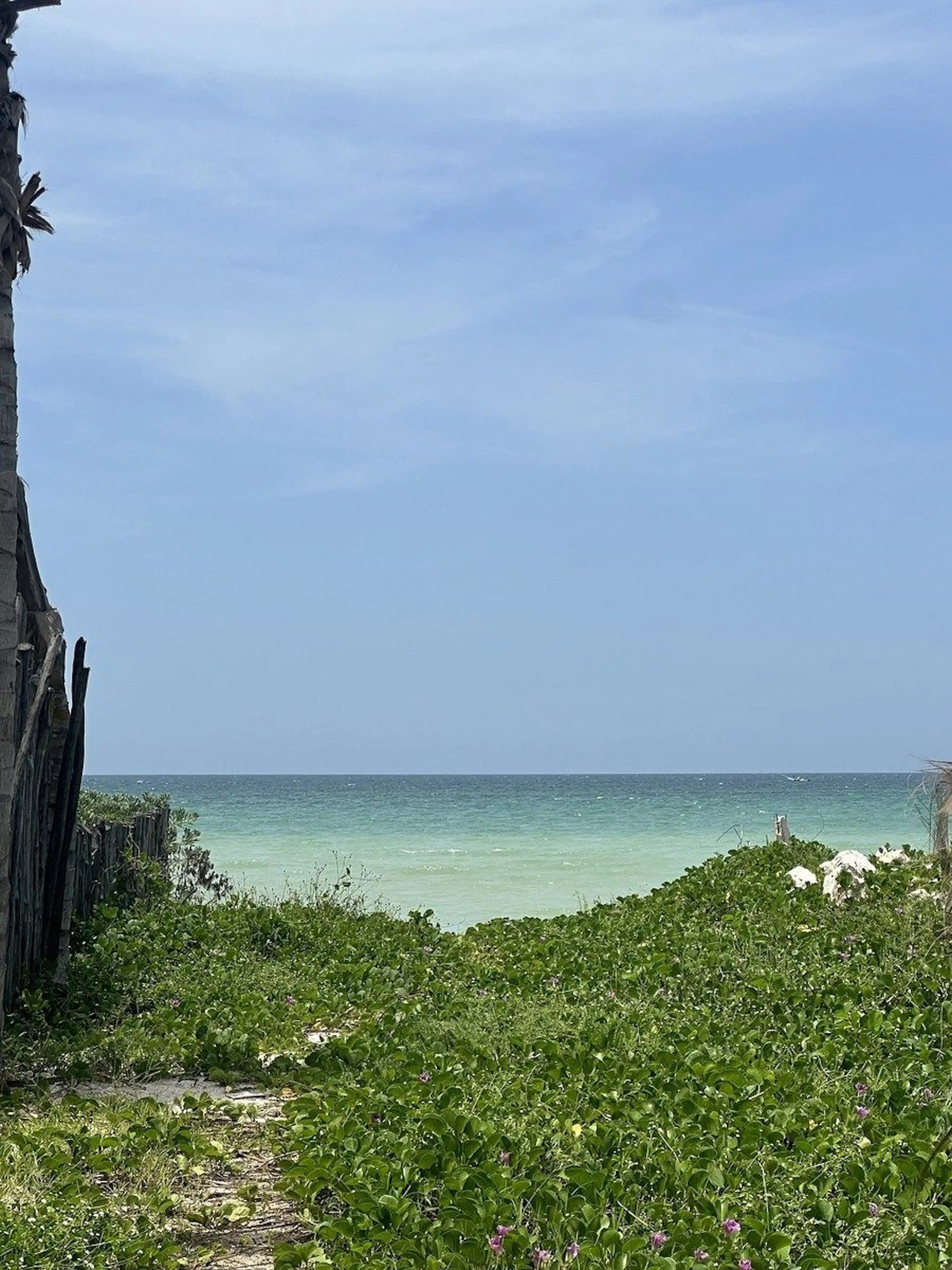 Terreno De  485m2 En La Playa De San Benito, Yucatán