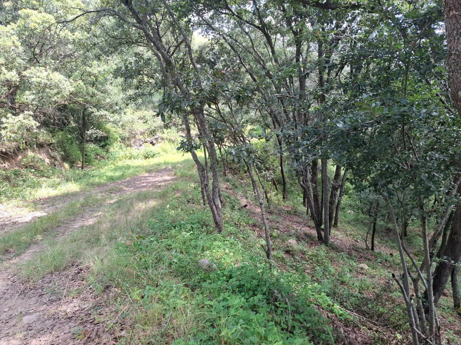 Terreno Spot2
