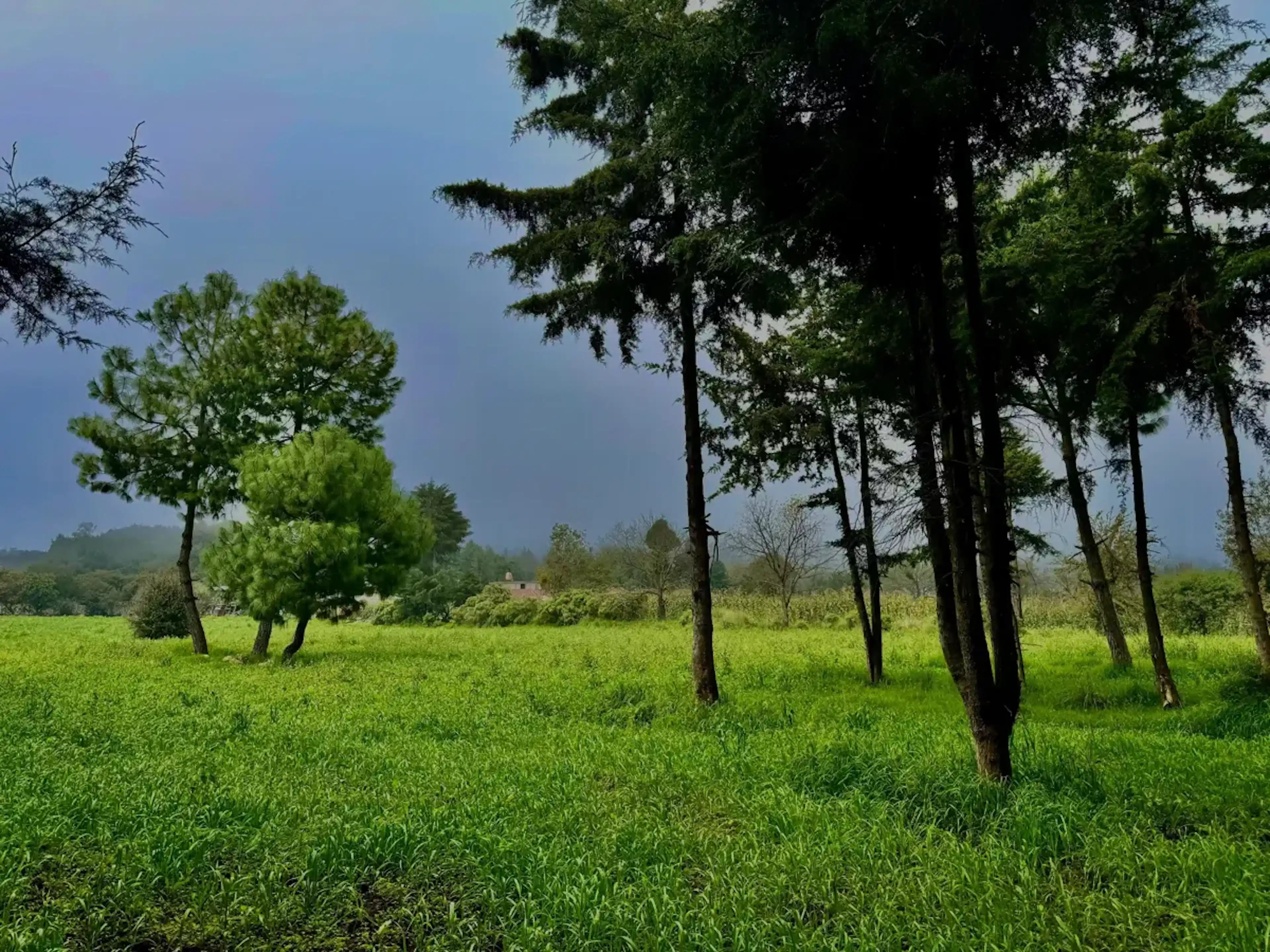 Terreno En Venta En Morada Del Quetzal (tres Pasos), Emiliano Zapata, Veracruz De Ignacio De La Llave