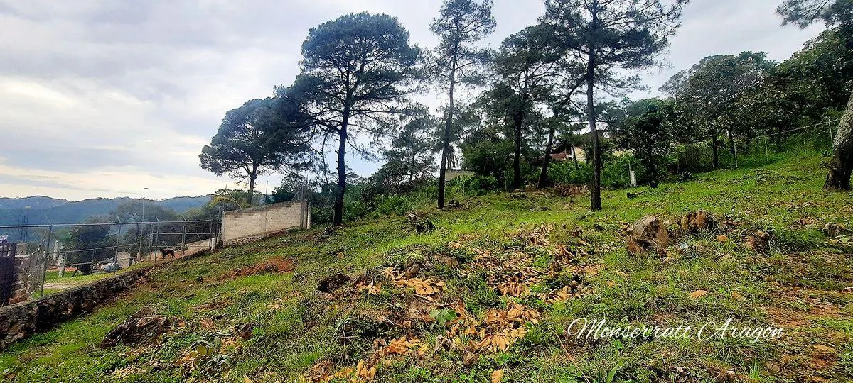 Terreno Spot2