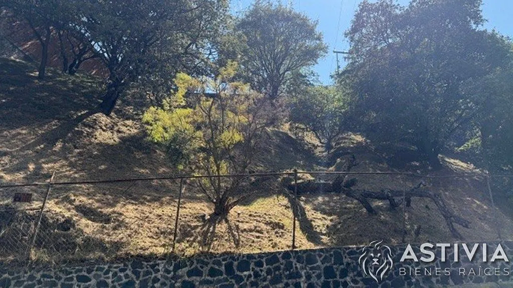 Terreno Spot2