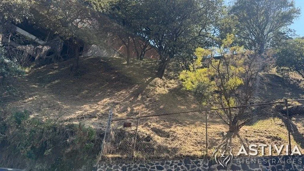 Terreno Spot2