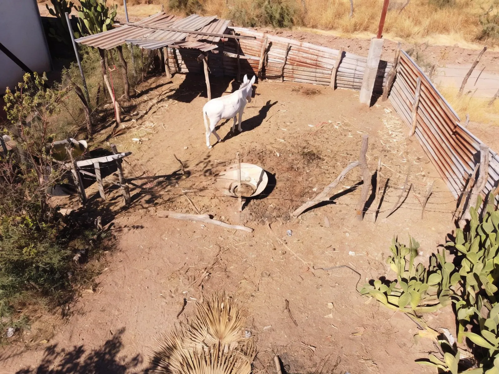Terreno Spot2
