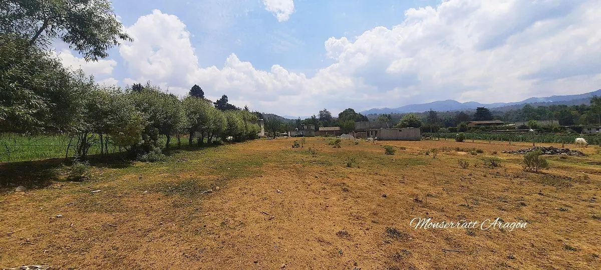 Terreno Spot2