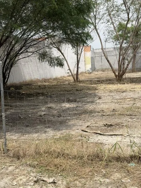Terreno Spot2