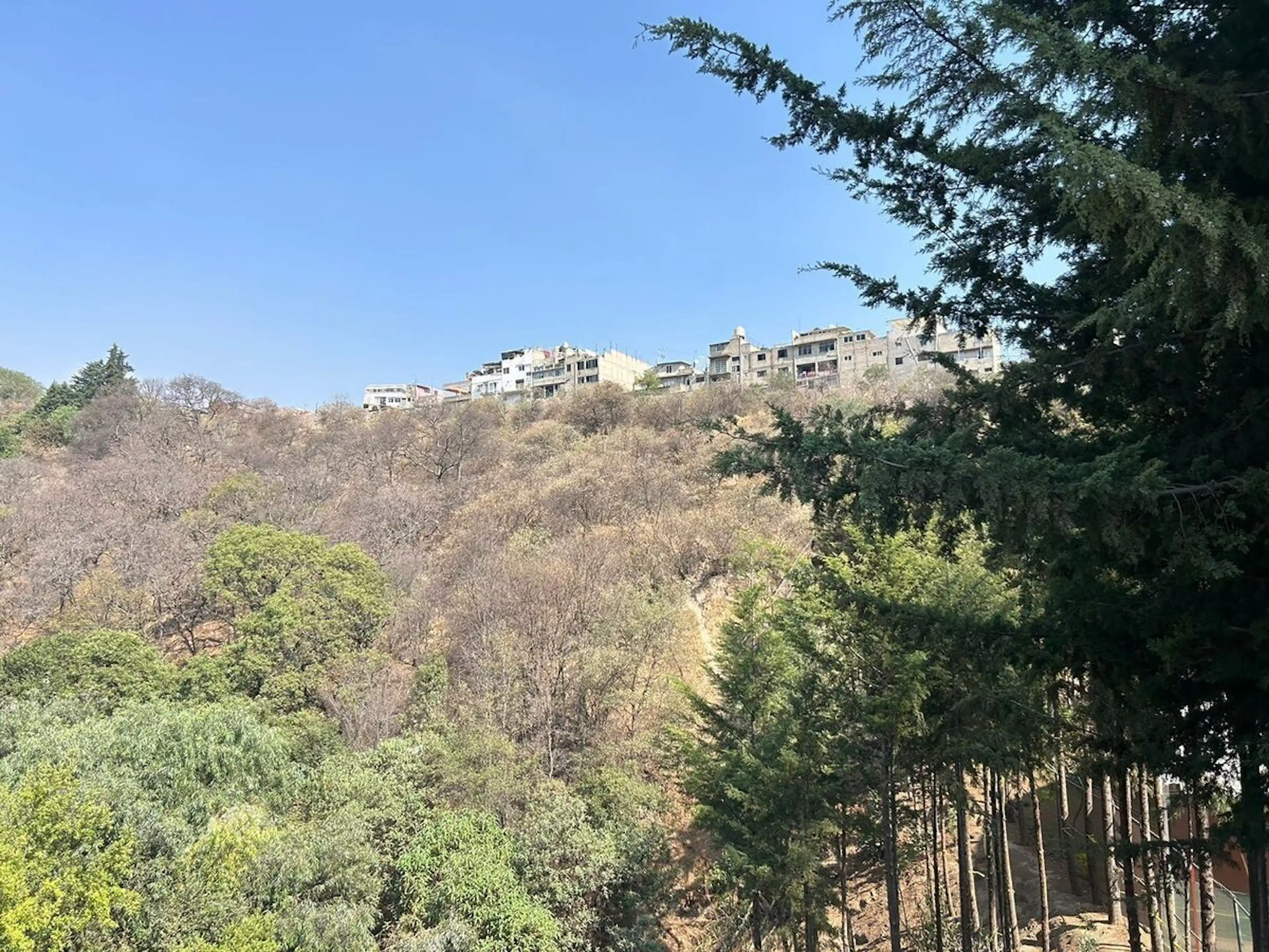 Terreno En Bosque Real (preventa)