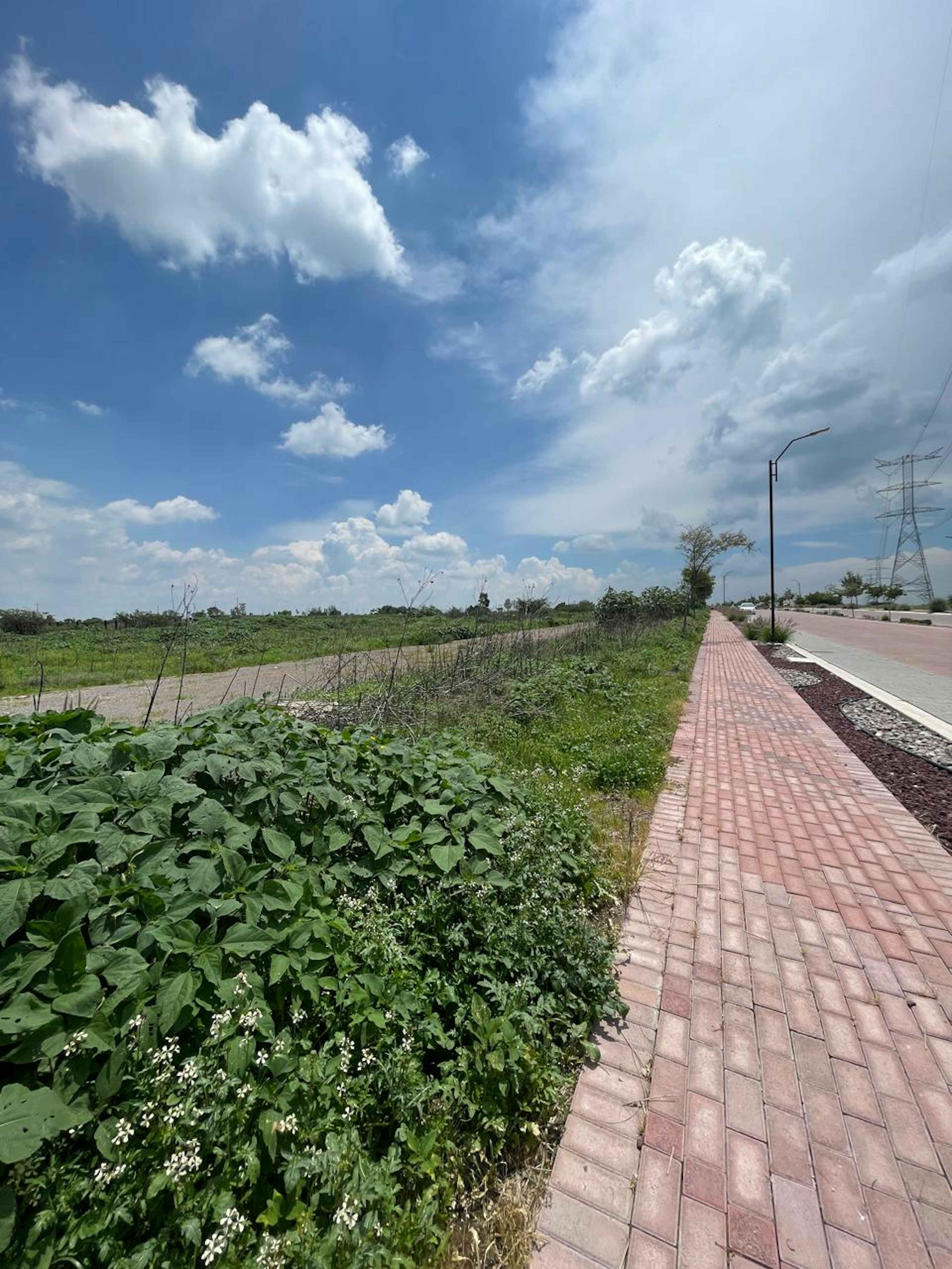 Carrereta A Coroneo 1