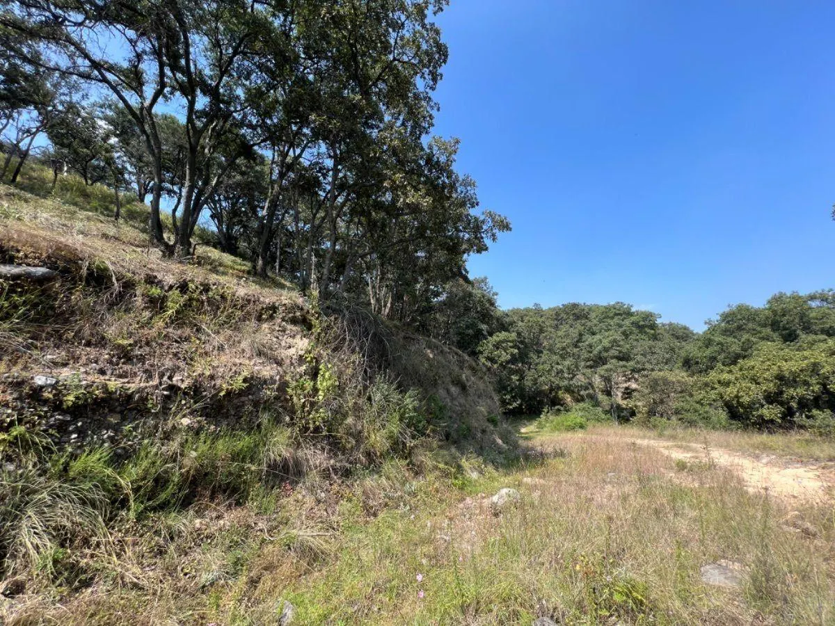 Terreno Spot2