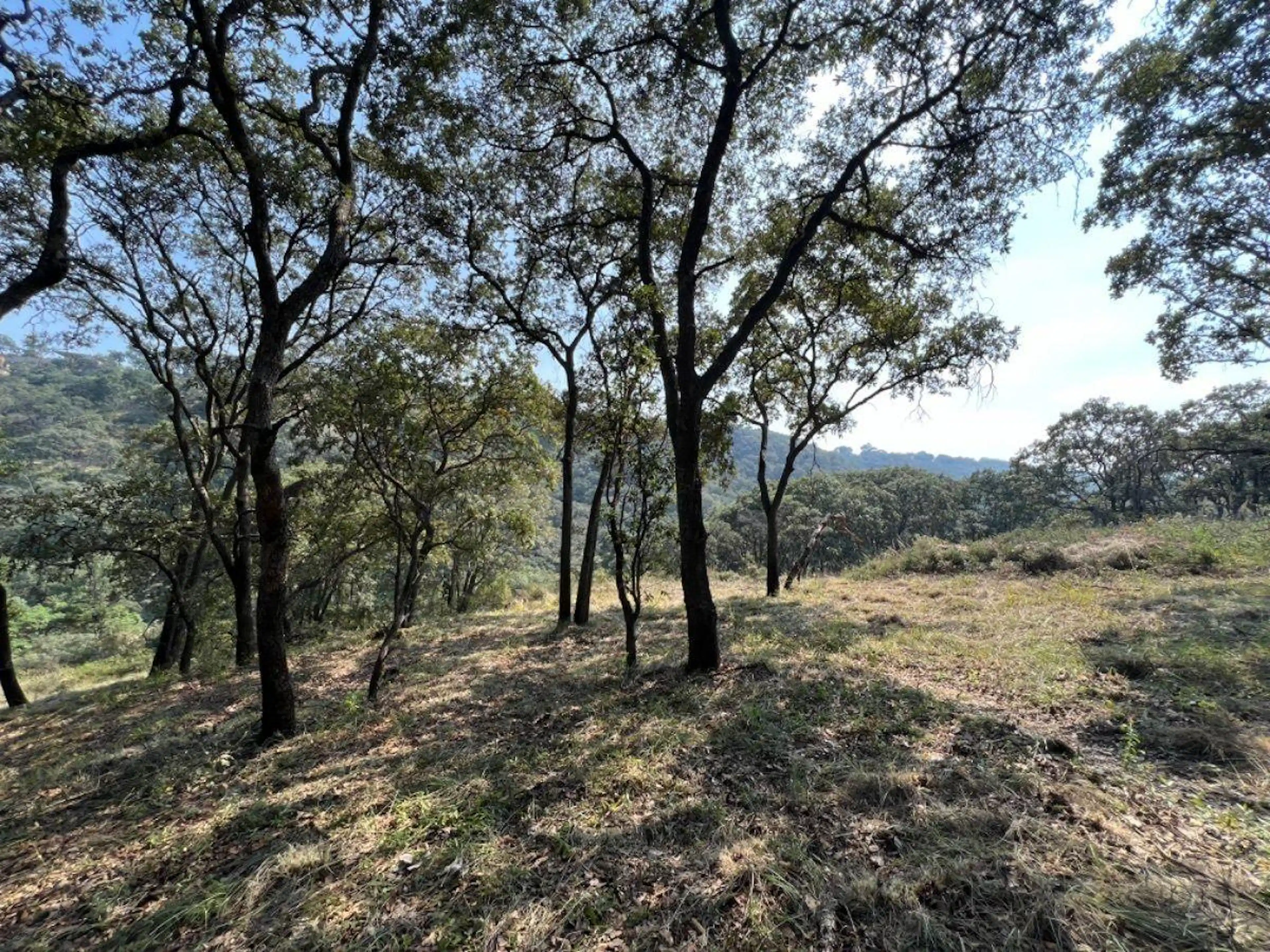 VENTA DE TERRENO EN FRACC. CAMPESTRE LT. 83 MZ 11, VILLA DEL CARBÓN